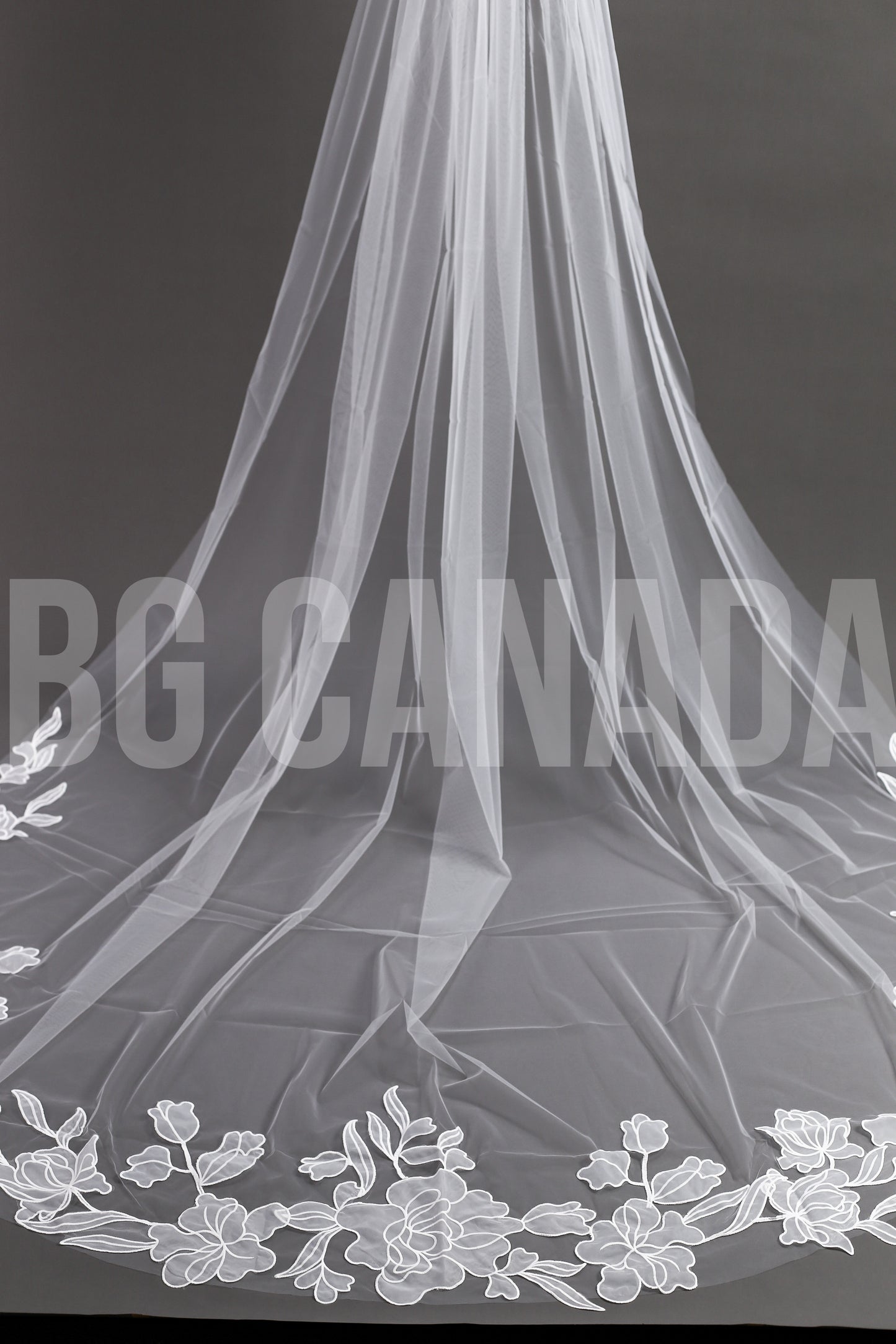 Modern Cathedral Veil with Large Floral Vine Motif Applique Trim - Nouveau Bloom
