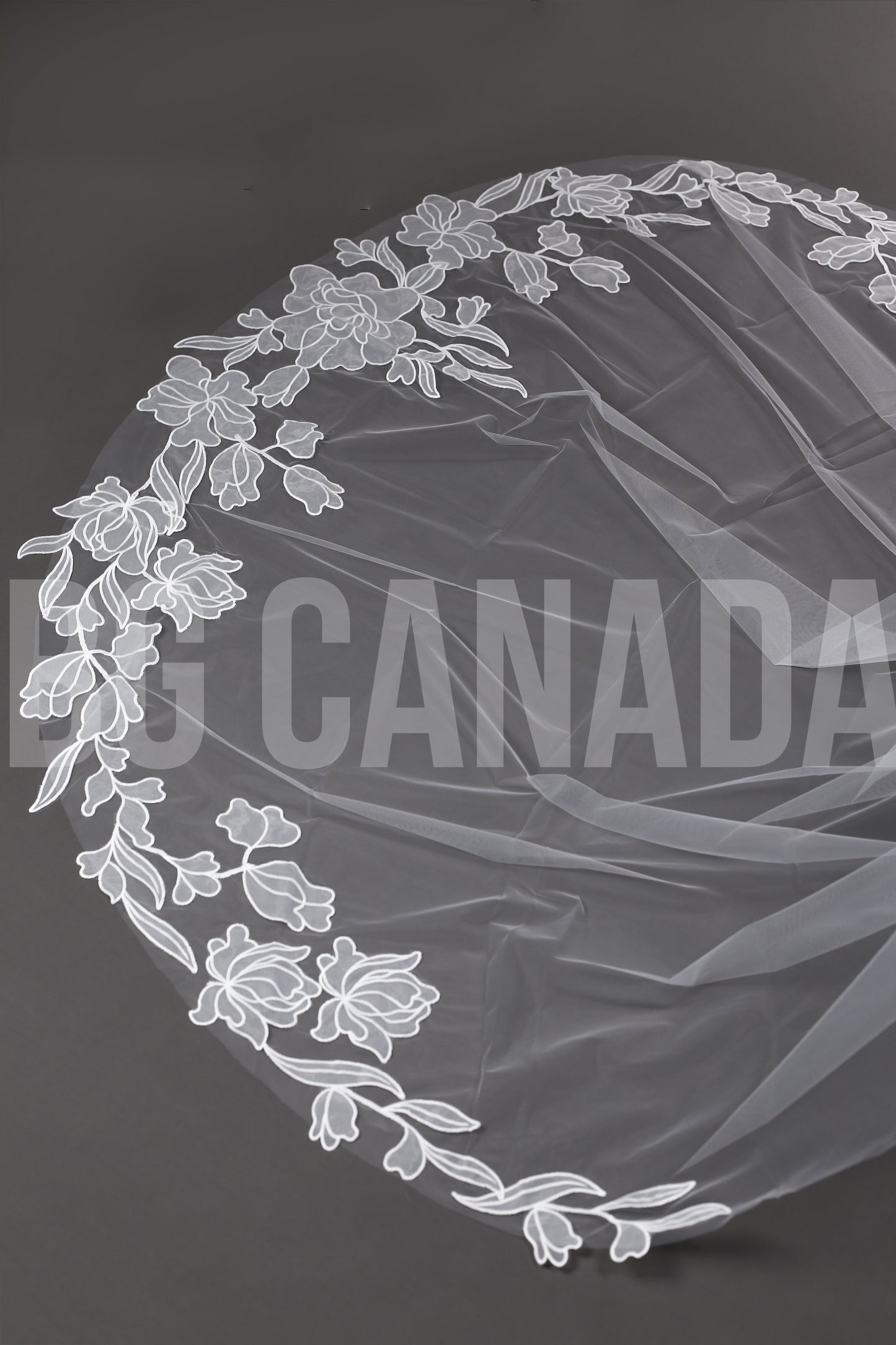 Modern Cathedral Veil with Large Floral Vine Motif Applique Trim - Nouveau Bloom