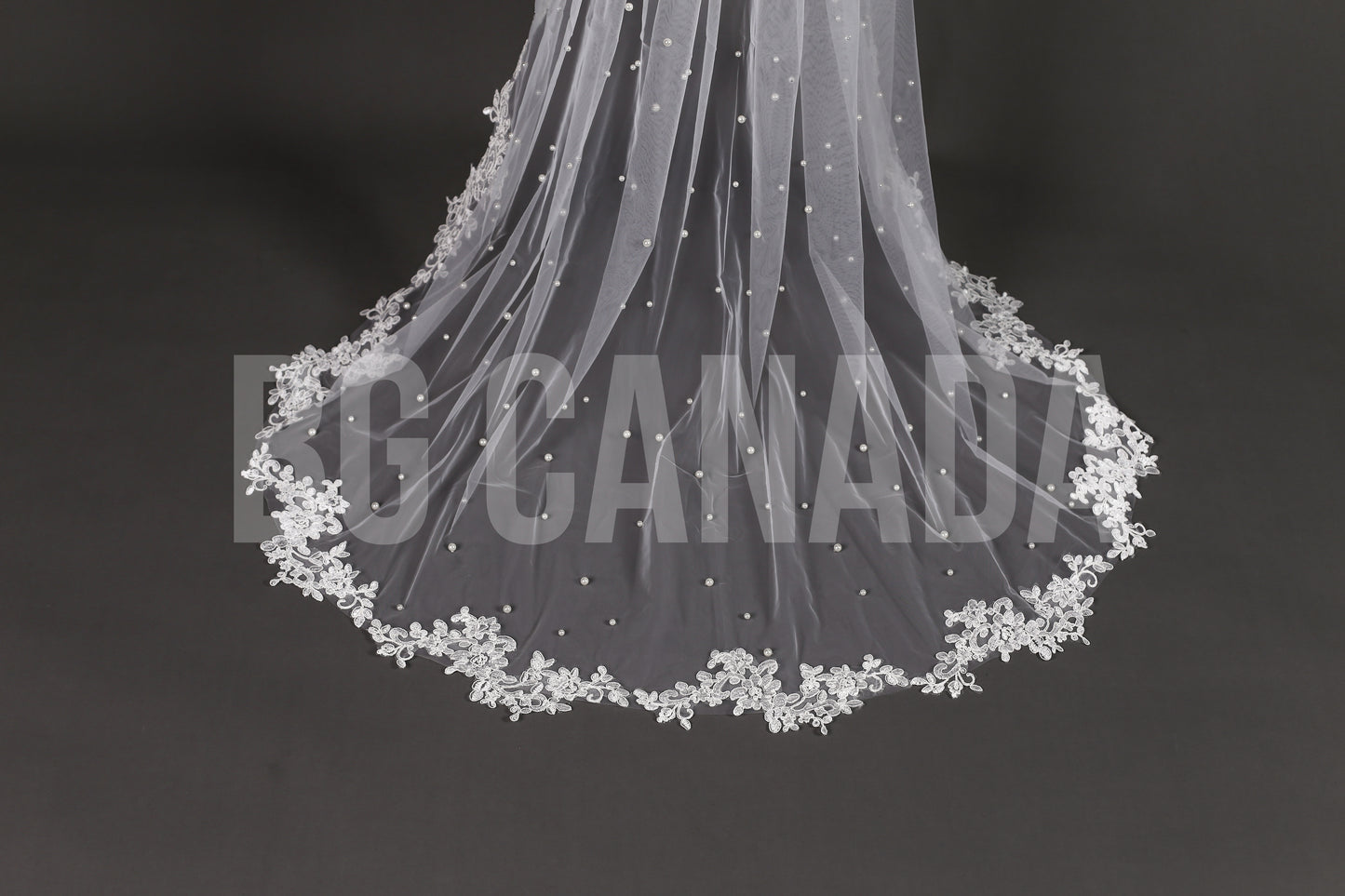 Pearl Veil with Classic Leaf Vine Lace Trim - Ava Pearl Elegance