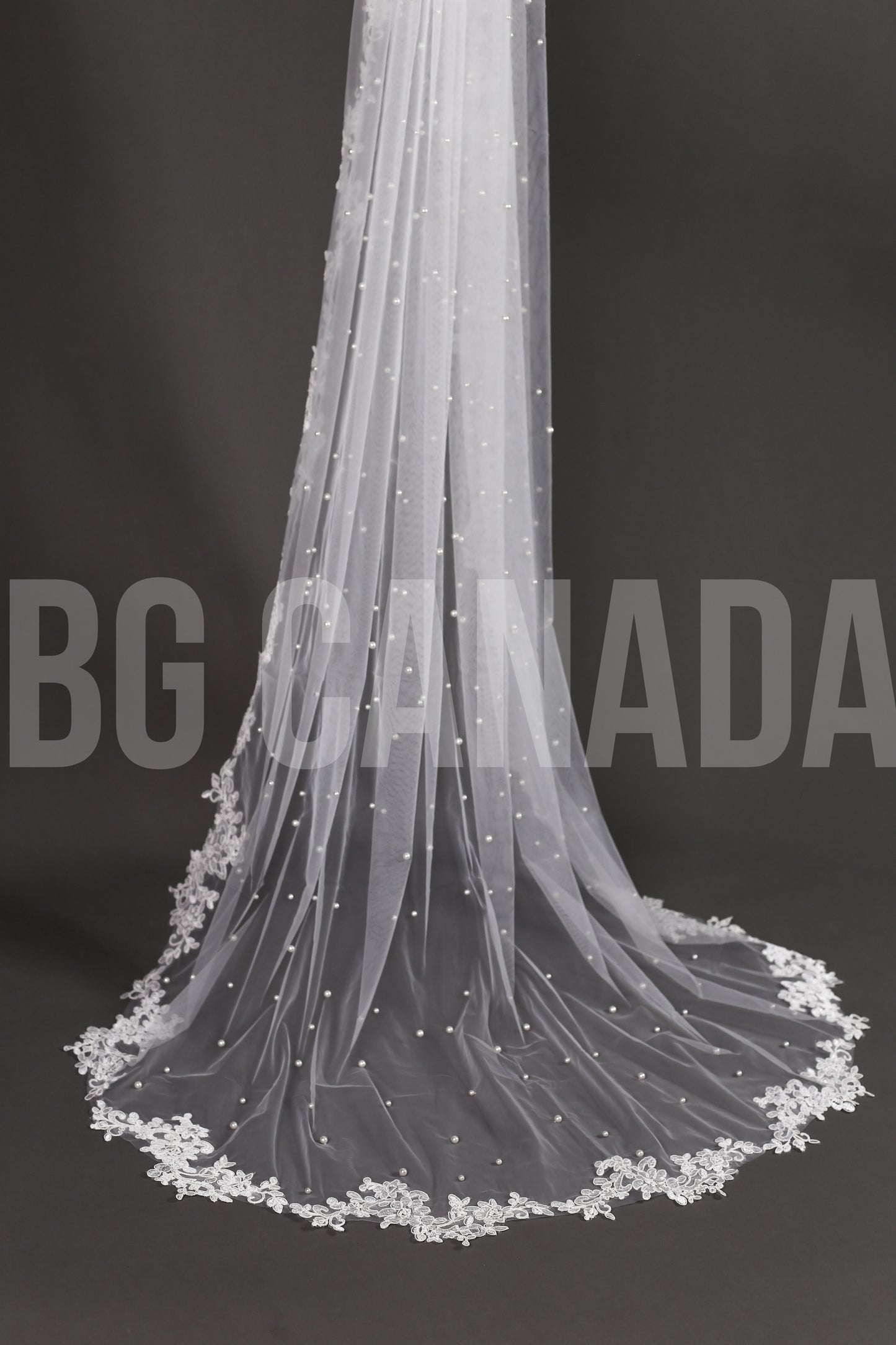 Pearl Veil with Classic Leaf Vine Lace Trim - Ava Pearl Elegance