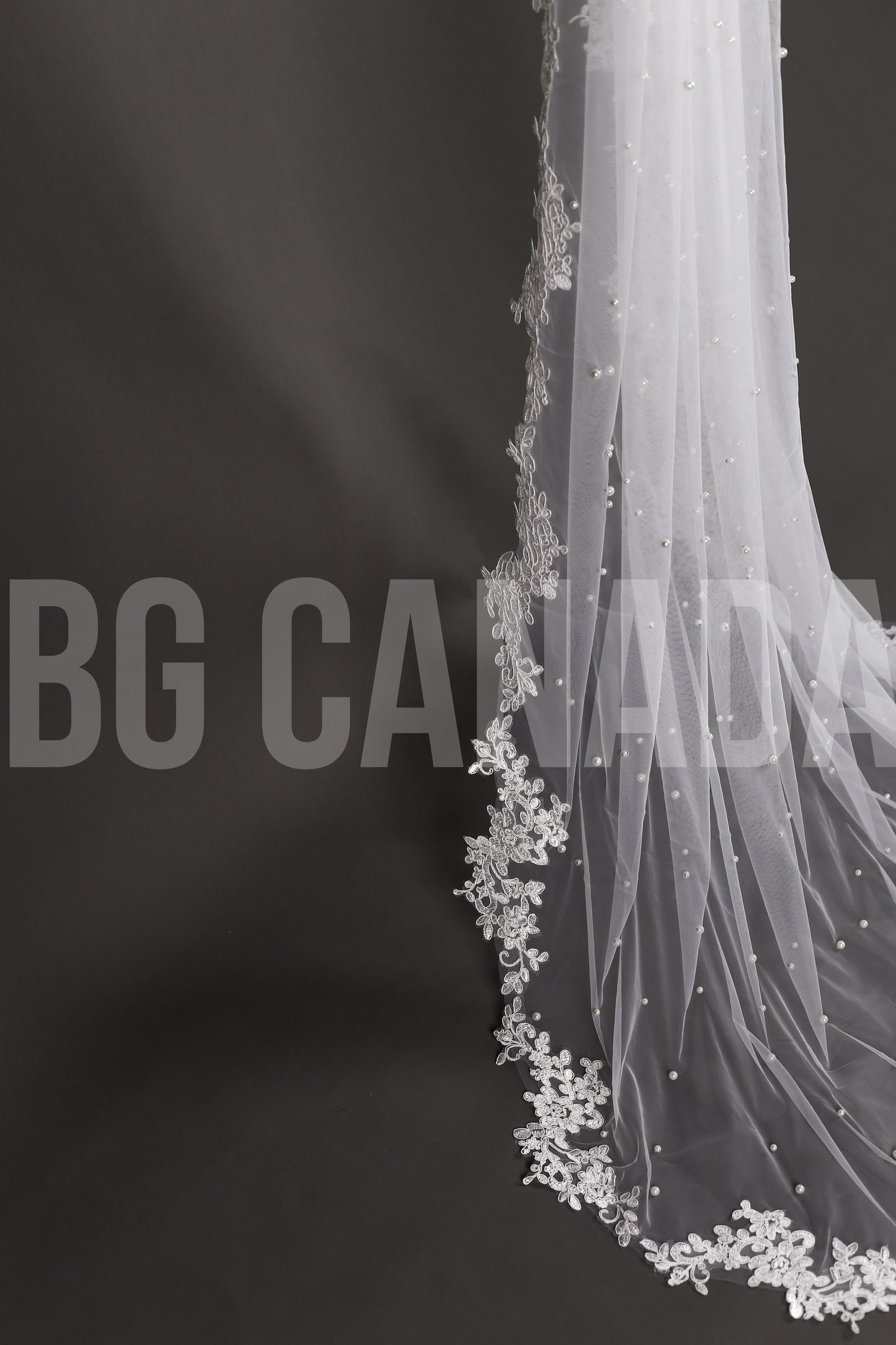 Pearl Veil with Classic Leaf Vine Lace Trim - Ava Pearl Elegance