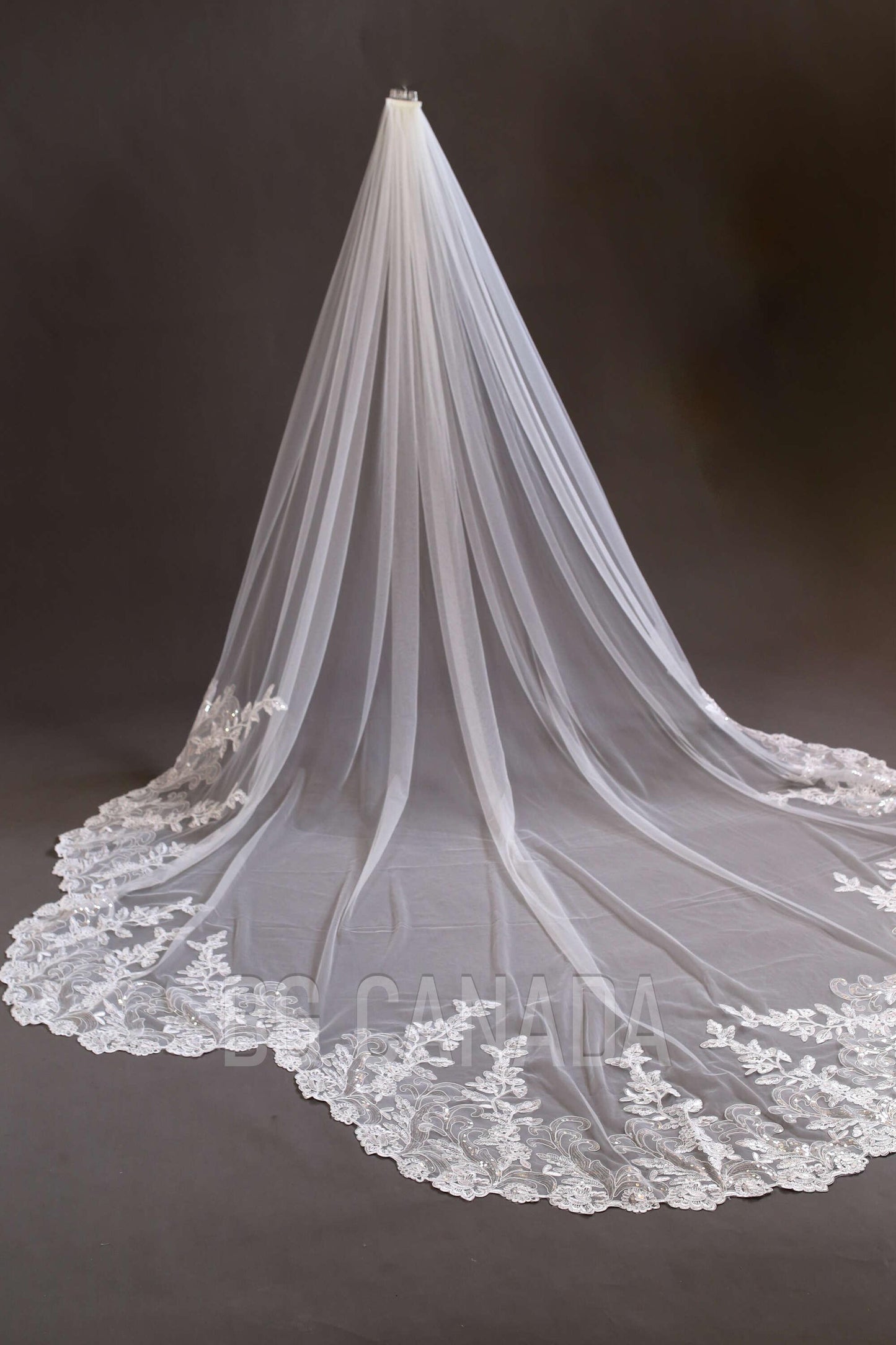 Sparkly lace Wedding Veil Scalloped Bridal Veil with Sequins unique lace edged veil