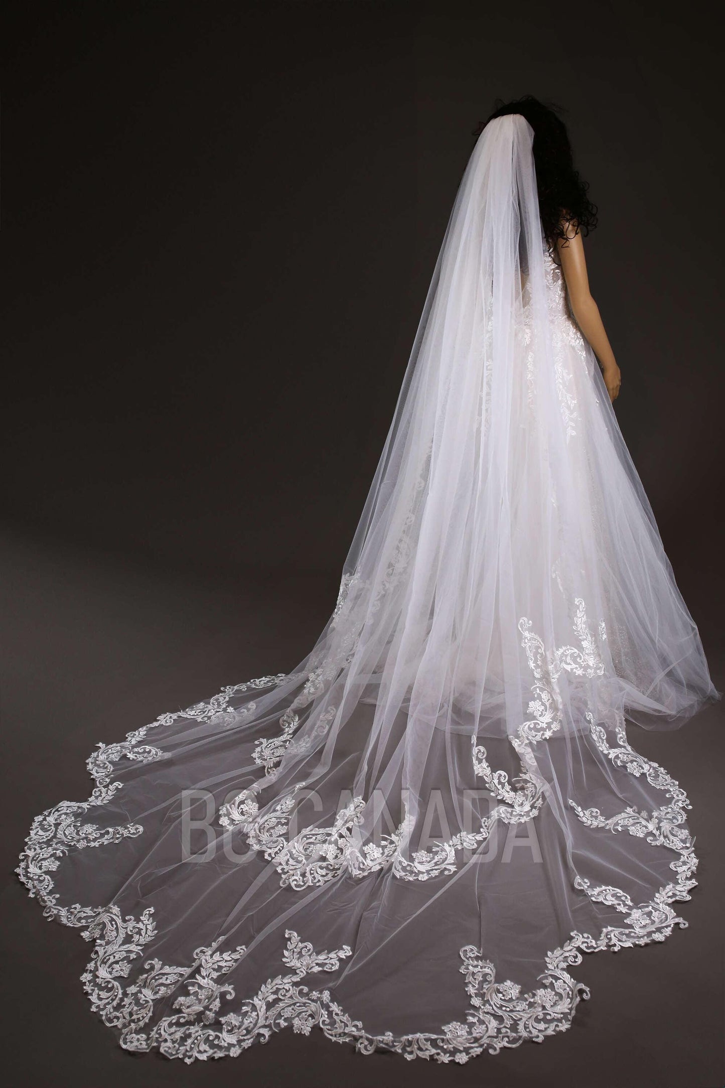 Cathedral veil wedding veil statement wedding veil luxury wedding veil single layer Cathedral length veil