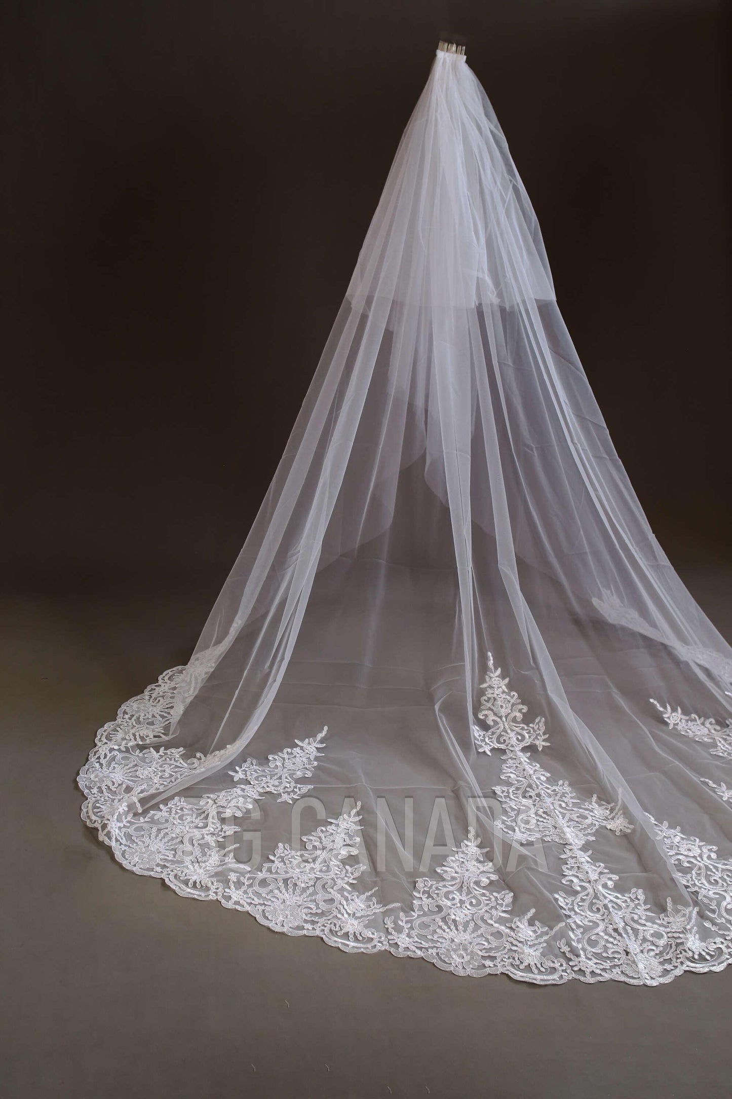 Lace Trim Cathedral Wedding Veil - Double Tier Bridal Veil