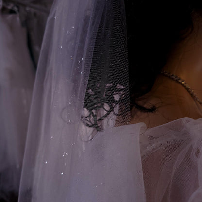 Sparkling veil shiny veil wedding veil Sparkling wedding veil white moonshine veil cathedral shiny veil sparkly lace veil