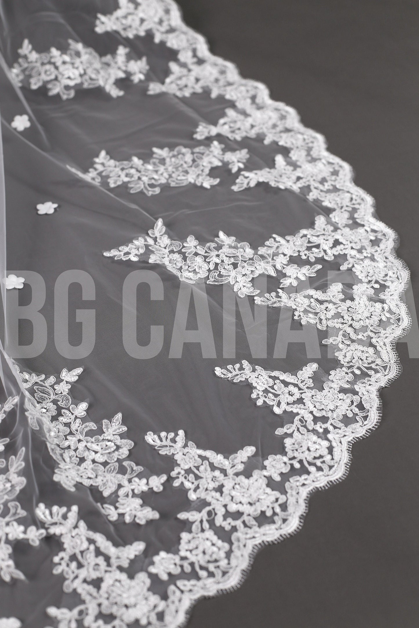 Long Lace Bridal Veil with Floral Appliqué | Scalloped Edge Wedding Veil with Pearls | Ivory Lace Veil for Bride