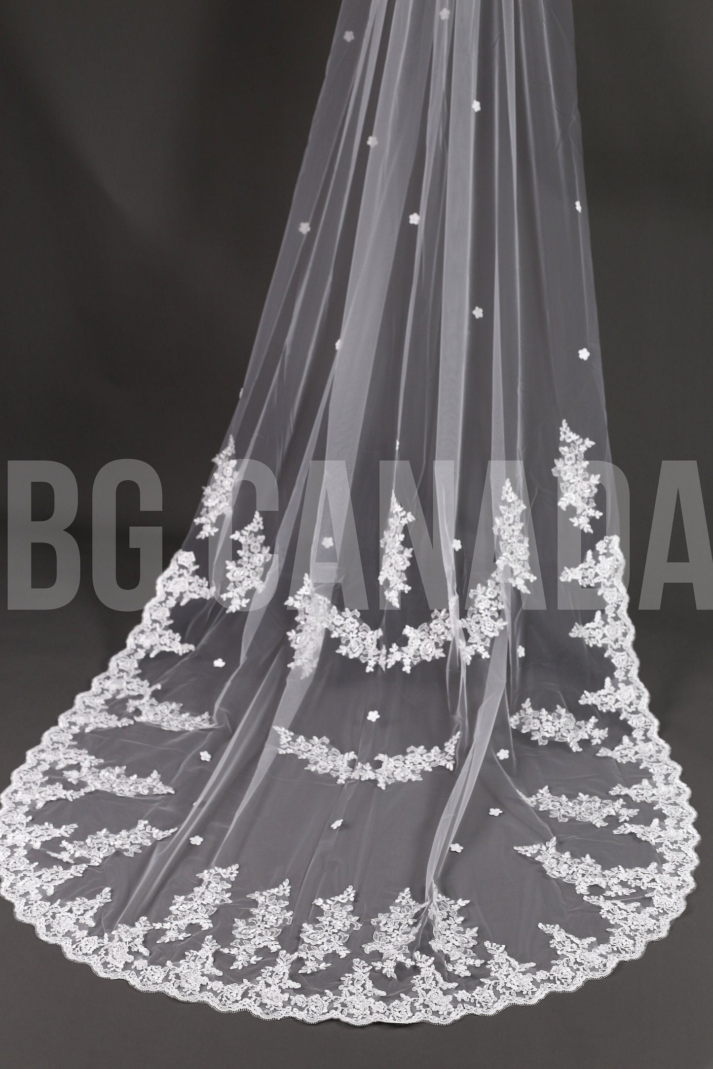 Long Lace Bridal Veil with Floral Appliqué | Scalloped Edge Wedding Veil with Pearls | Ivory Lace Veil for Bride