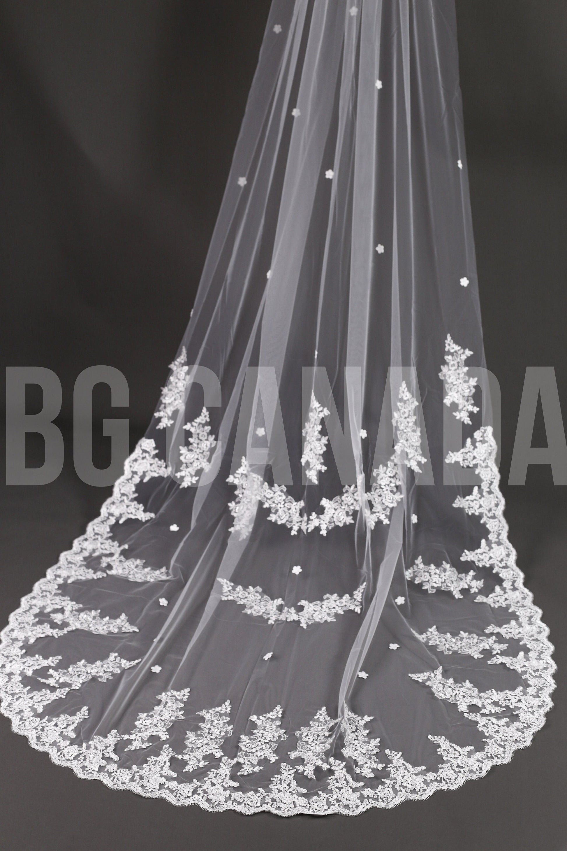 Long Lace Bridal Veil with Floral Appliqué | Scalloped Edge Wedding Veil with Pearls | Ivory Lace Veil for Bride