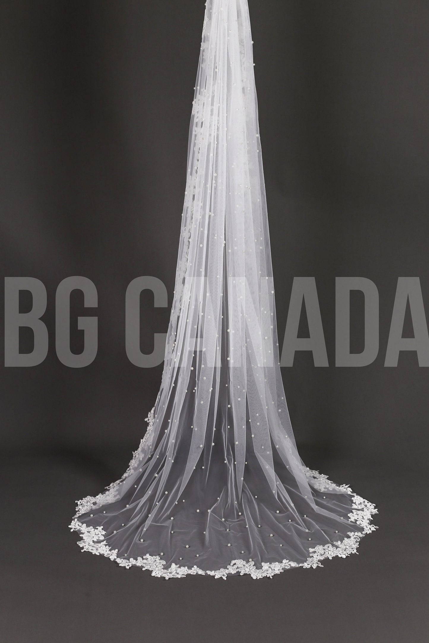 Pearl Wedding Veil with lace border: Ivory Lace Border Veil Lace edge veil scattered pearls