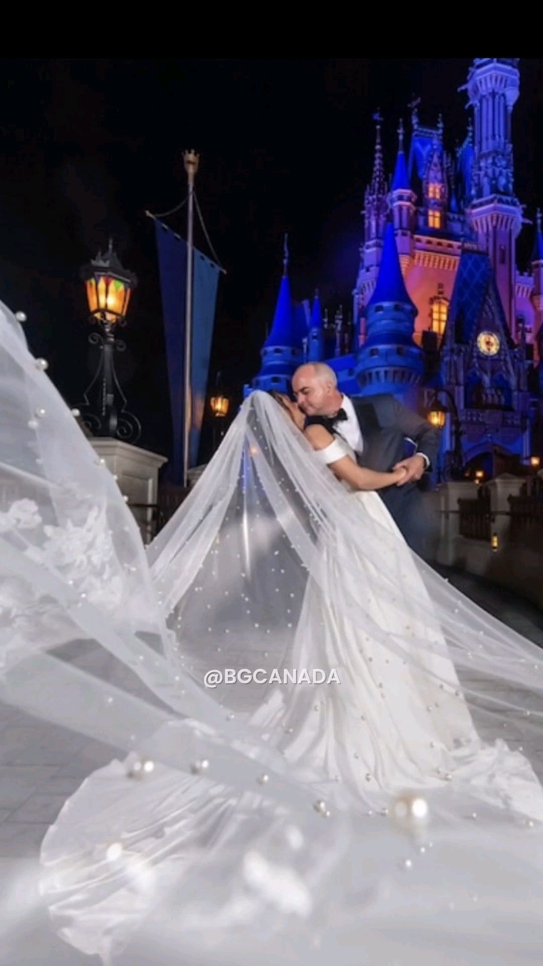 Pearl veil pearl floral wedding veil long veil cathedral wedding veil with lace ivory wedding veil