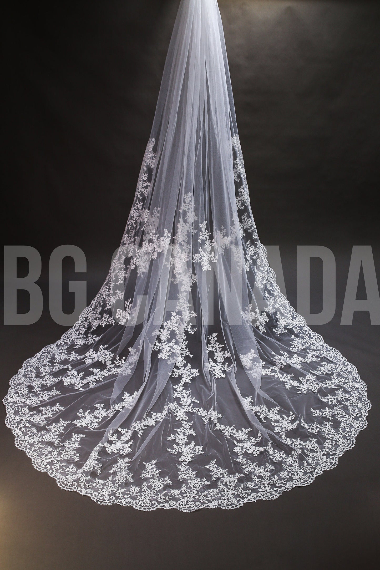 Lace Trim Cathedral Bridal Veil - Elegant Wedding Veil