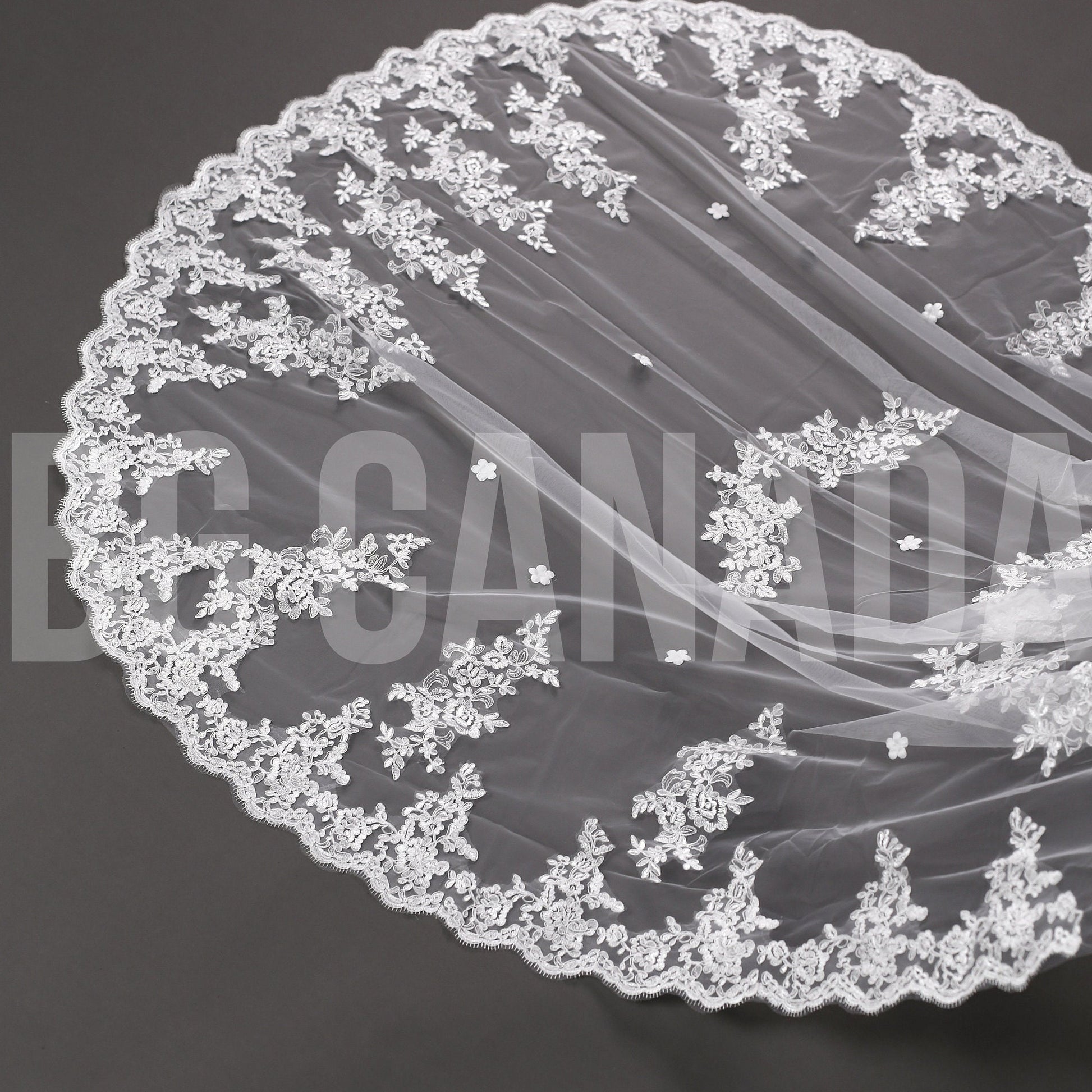 Long Lace Bridal Veil with Floral Appliqué | Scalloped Edge Wedding Veil with Pearls | Ivory Lace Veil for Bride