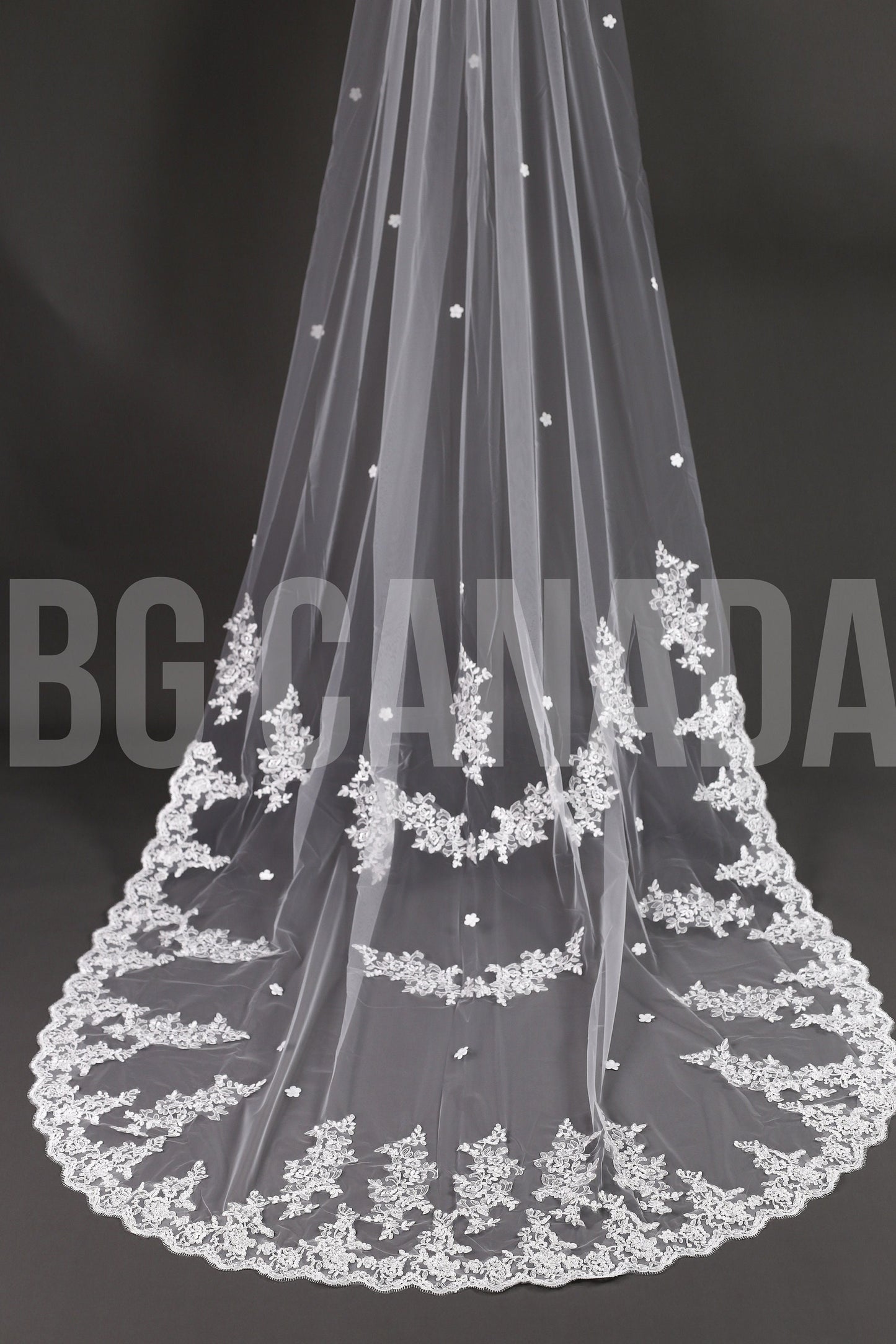 Long Lace Bridal Veil with Floral Appliqué | Scalloped Edge Wedding Veil with Pearls | Ivory Lace Veil for Bride