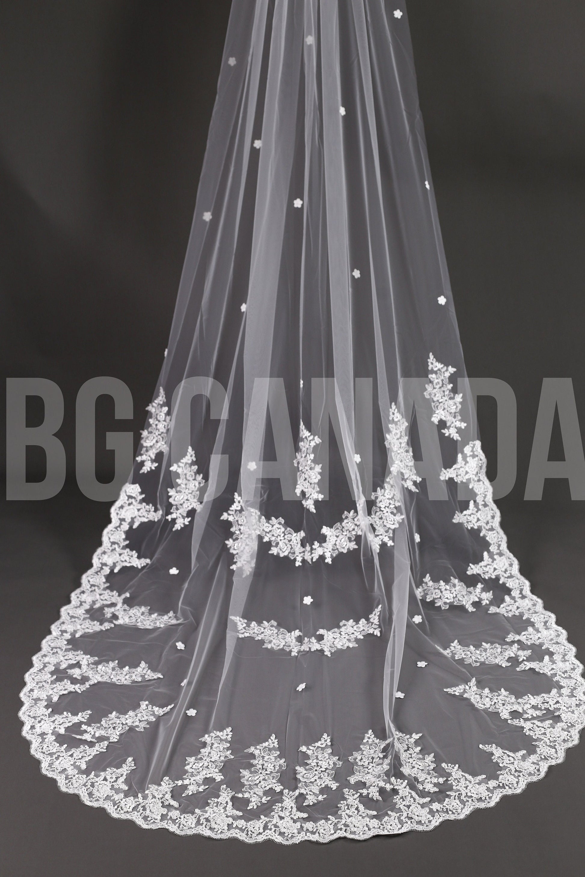 Long Lace Bridal Veil with Floral Appliqué | Scalloped Edge Wedding Veil with Pearls | Ivory Lace Veil for Bride