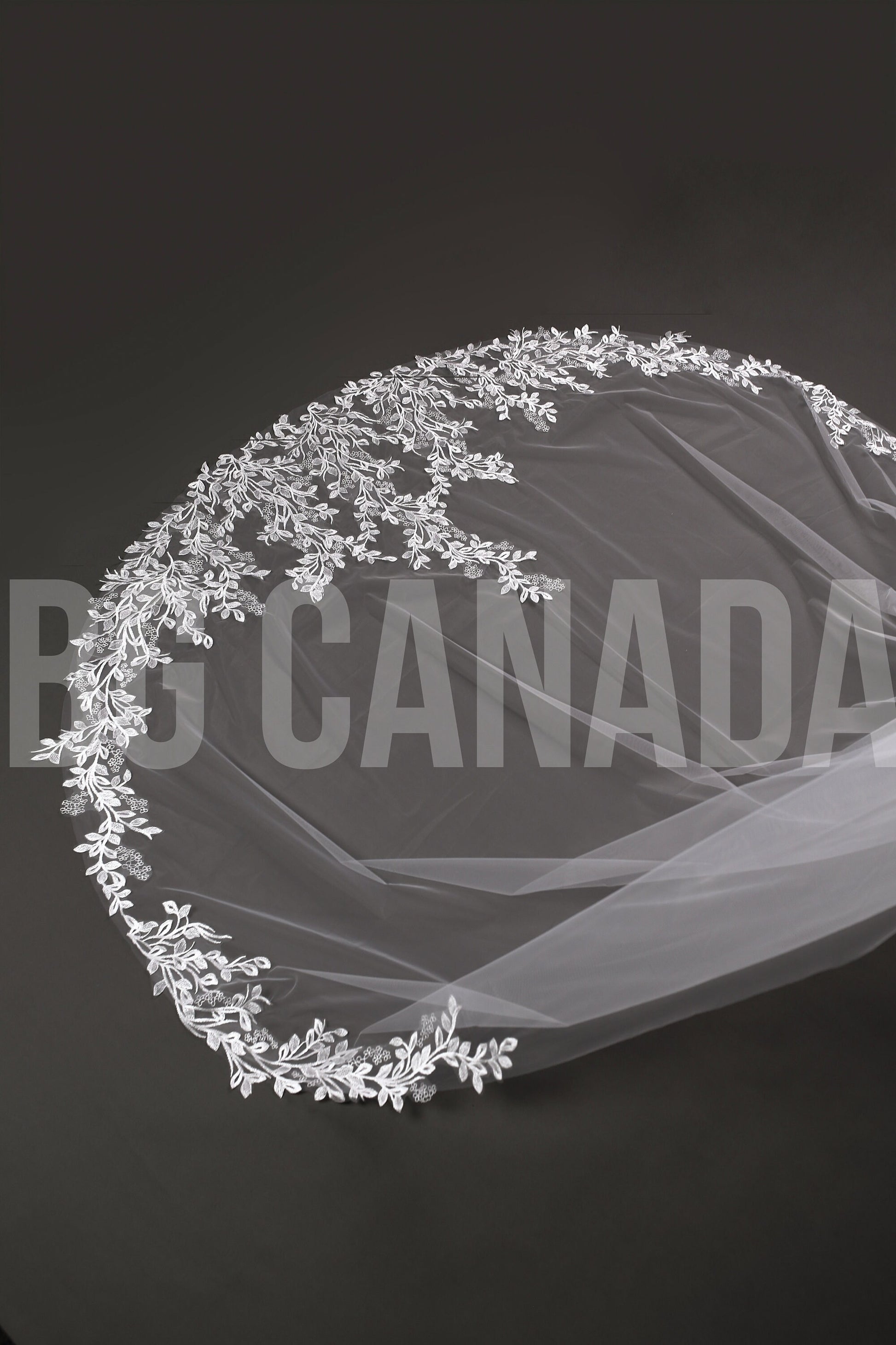 Leaf pattern Wedding Veil: Ivory, white Lace, Leaf Embroidered Edge (300cm)