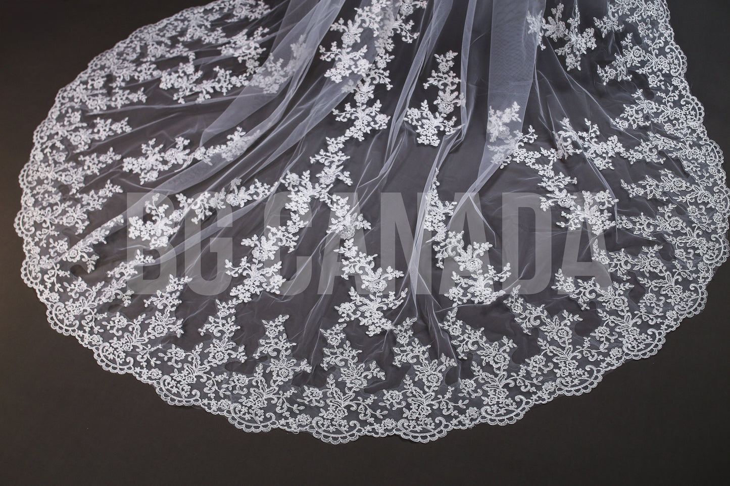 Lace Trim Cathedral Bridal Veil - Elegant Wedding Veil