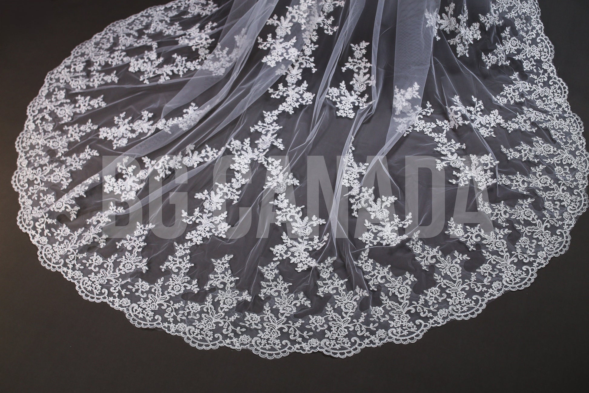 Lace Trim Cathedral Bridal Veil - Elegant Wedding Veil