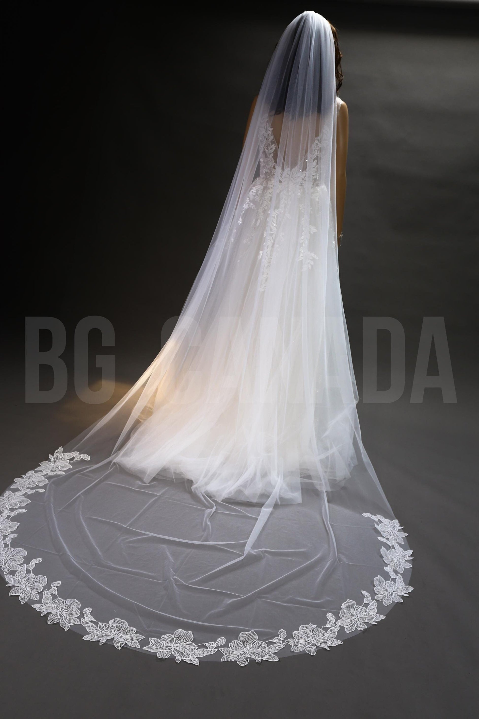 Ivory Cathedral Veil: Floral Lace Edge, Soft Tulle Bridal Veil (300cm)