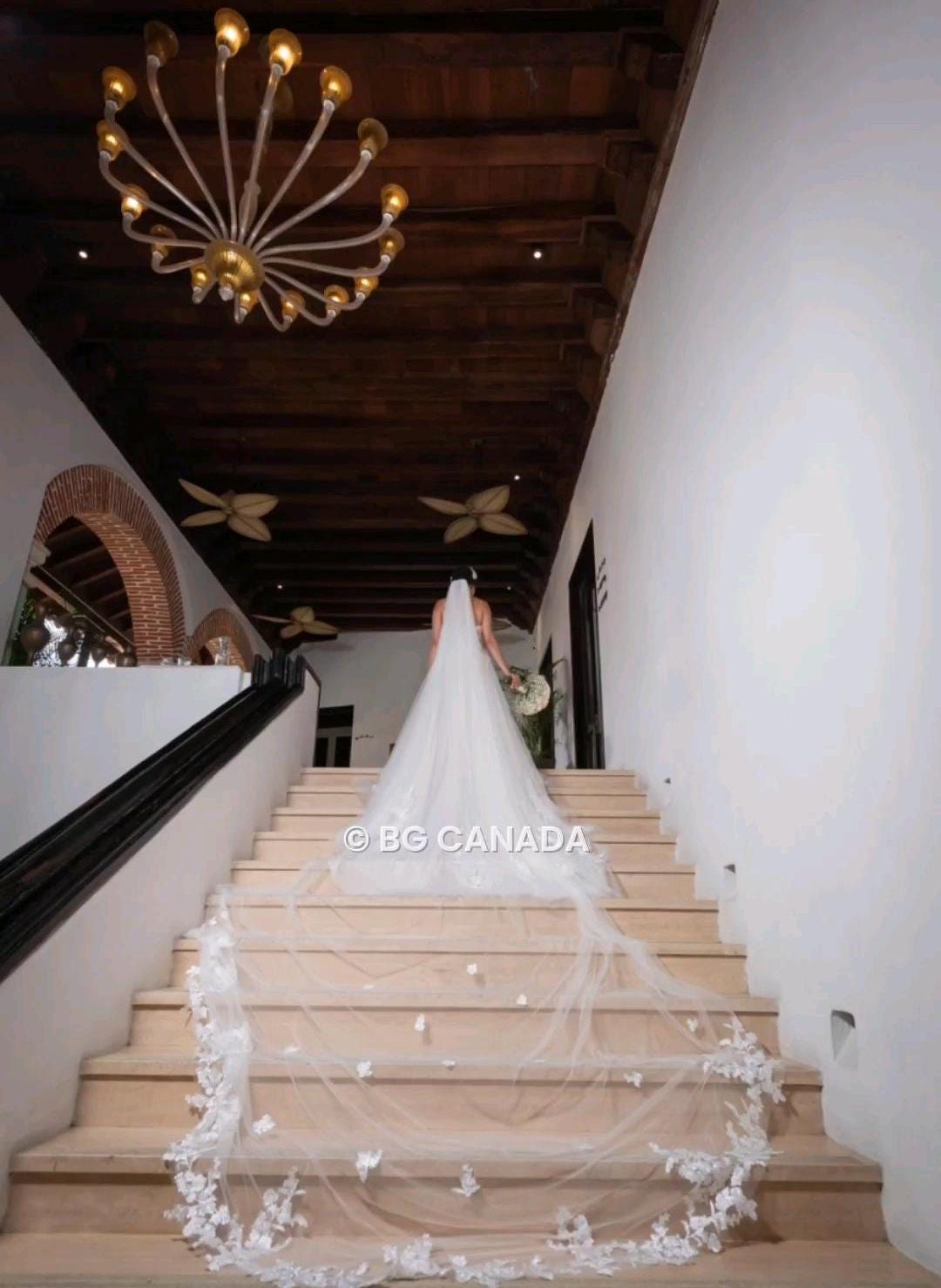 Cathedral Wedding Veil: Ivory Floral Lace, Soft Tulle