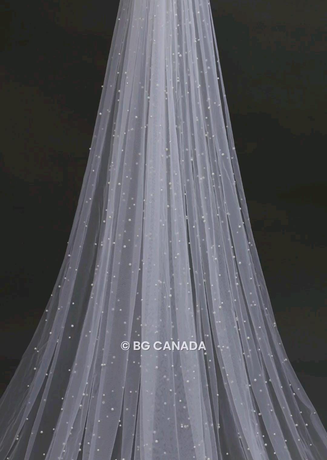 Floral Lace Cathedral Wedding Veil: Long Pearl Bridal Veil