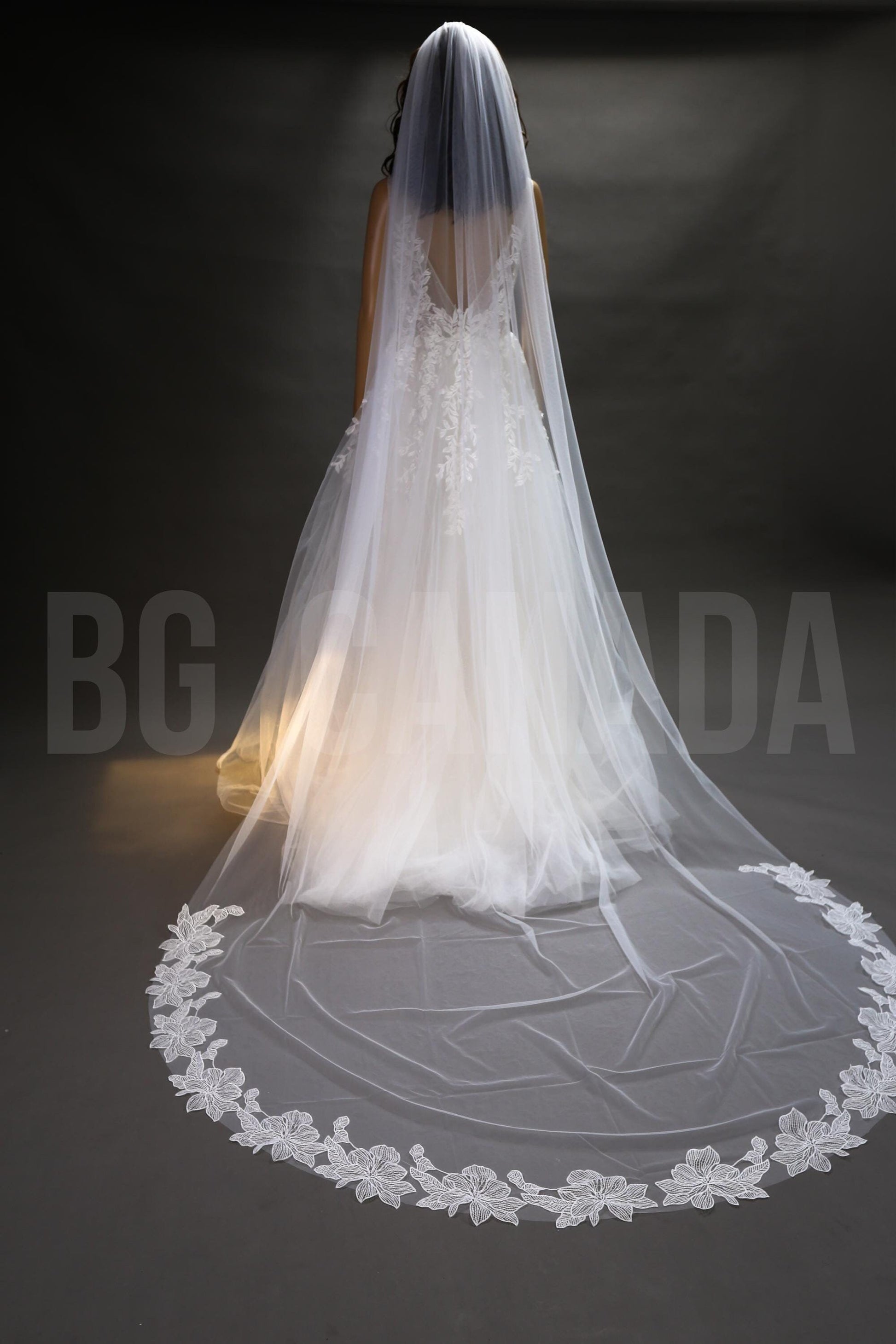Ivory Cathedral Veil: Floral Lace Edge, Soft Tulle Bridal Veil (300cm)