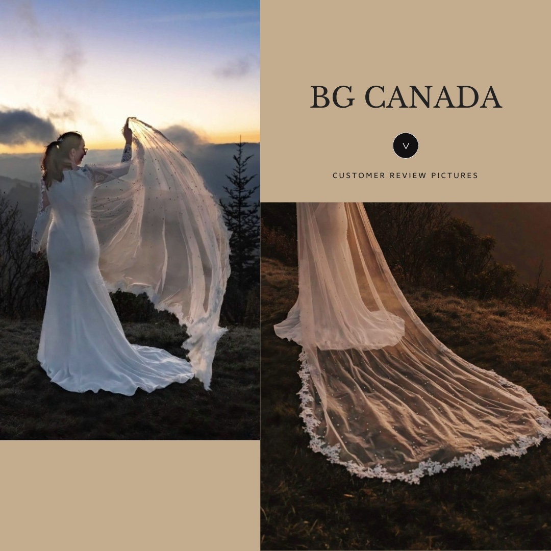 Pearl Wedding Veil with lace border: Ivory Lace Border Veil Lace edge veil scattered pearls