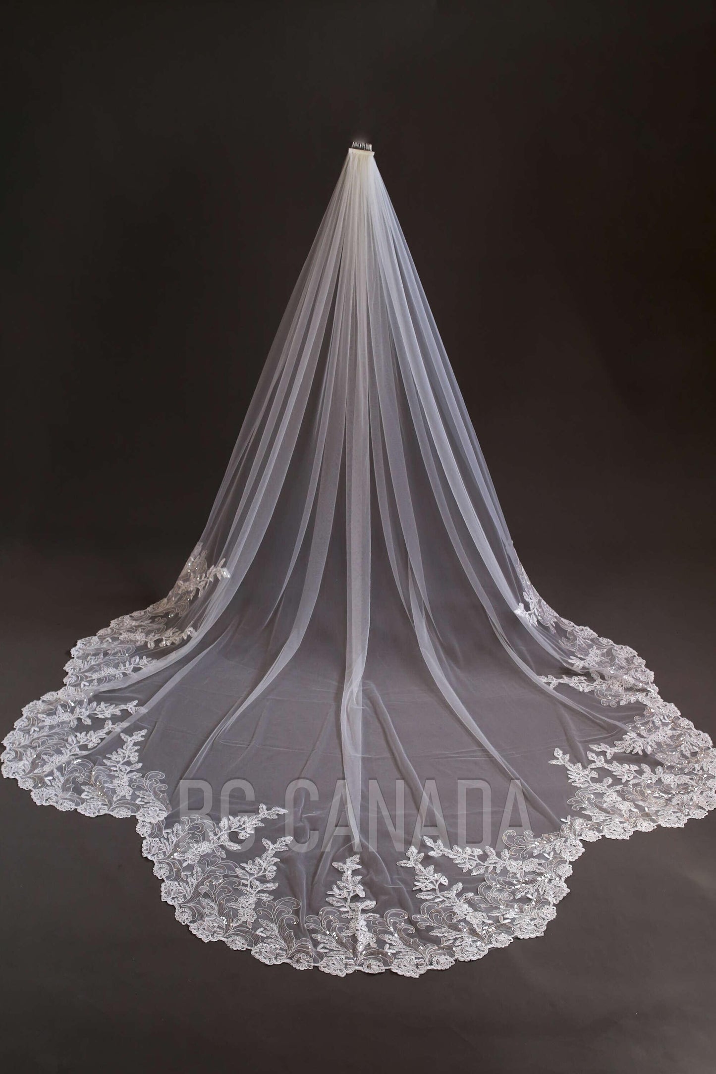 Sparkly lace Wedding Veil Scalloped Bridal Veil with Sequins unique lace edged veil