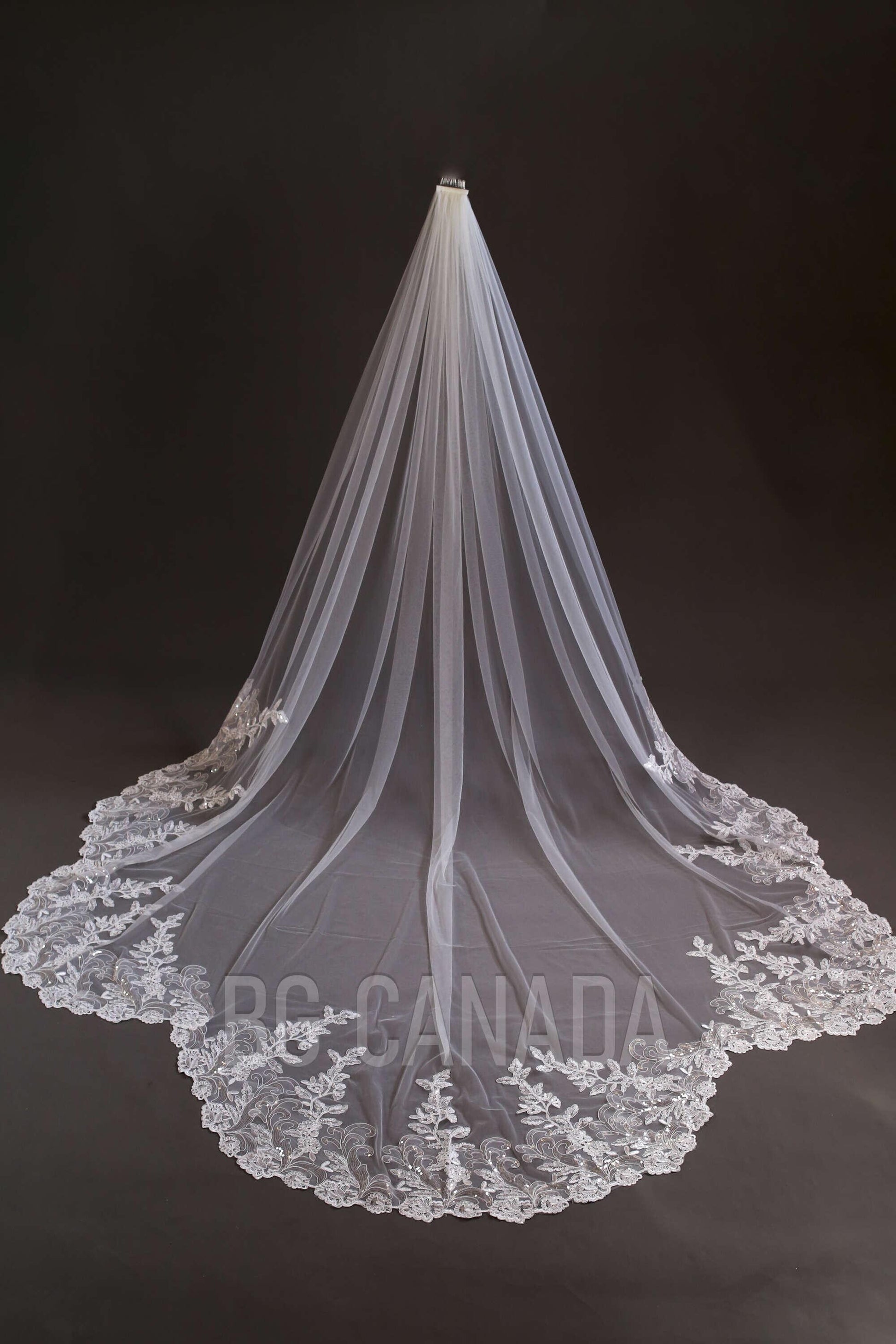 Sparkly lace Wedding Veil Scalloped Bridal Veil with Sequins unique lace edged veil