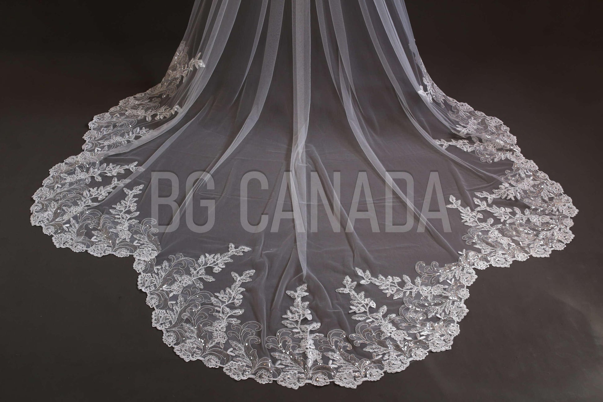 Sparkly lace Wedding Veil Scalloped Bridal Veil with Sequins unique lace edged veil