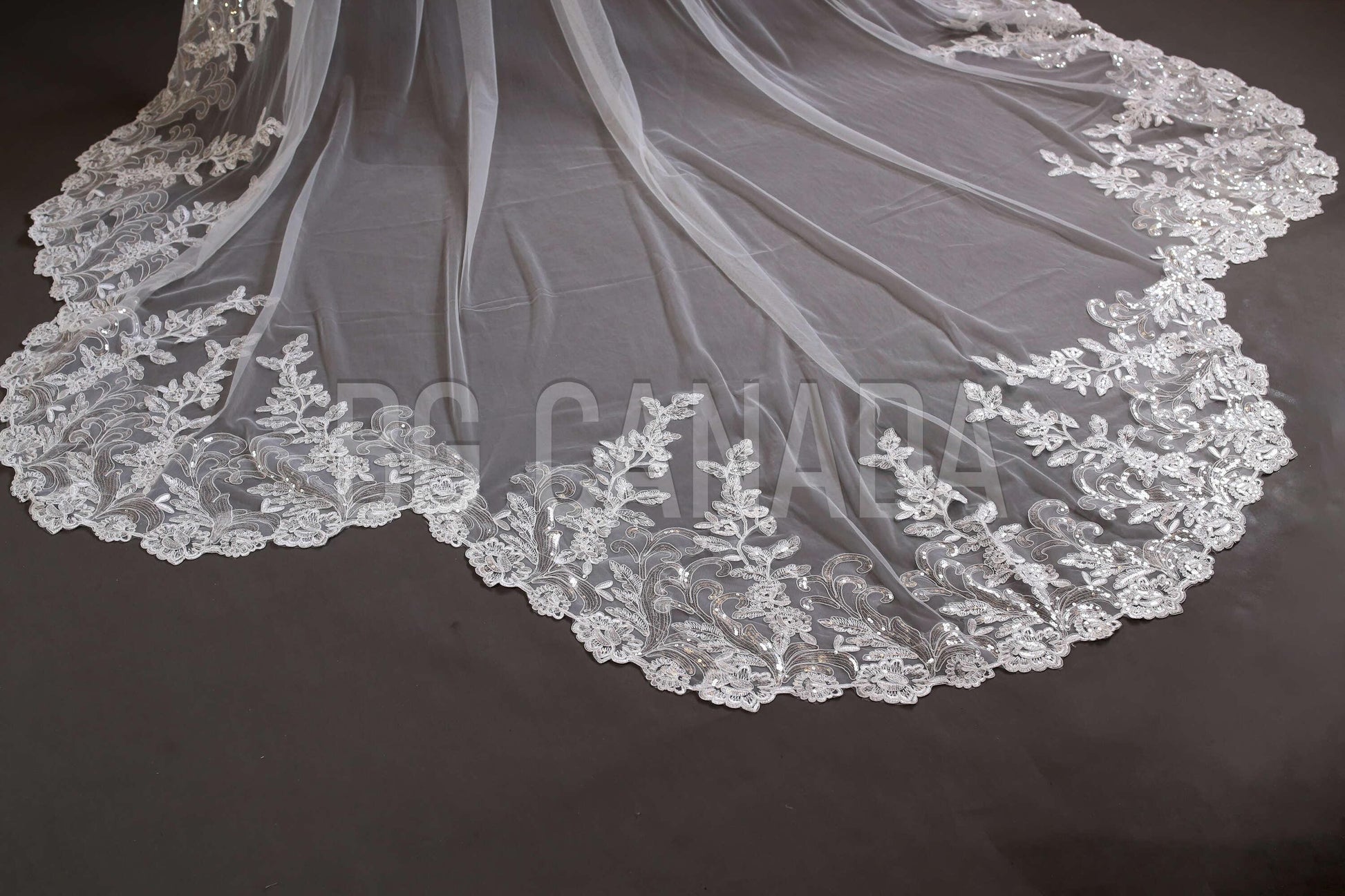 Sparkly lace Wedding Veil Scalloped Bridal Veil with Sequins unique lace edged veil