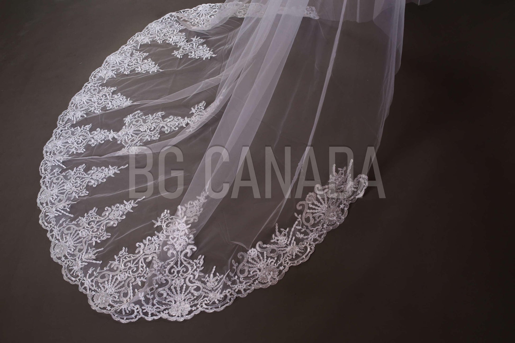 Lace Trim Cathedral Wedding Veil - Double Tier Bridal Veil