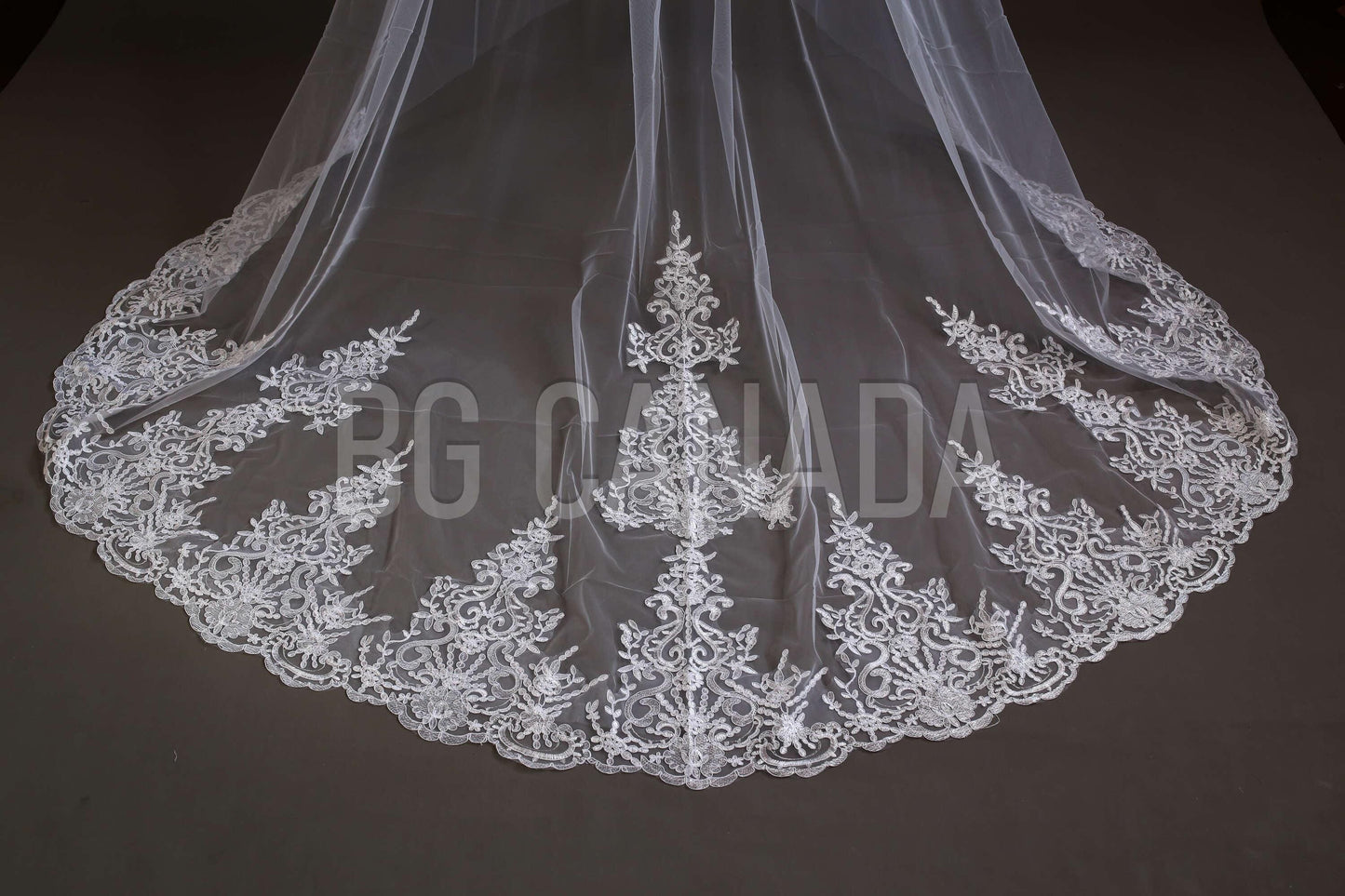Lace Trim Cathedral Wedding Veil - Double Tier Bridal Veil