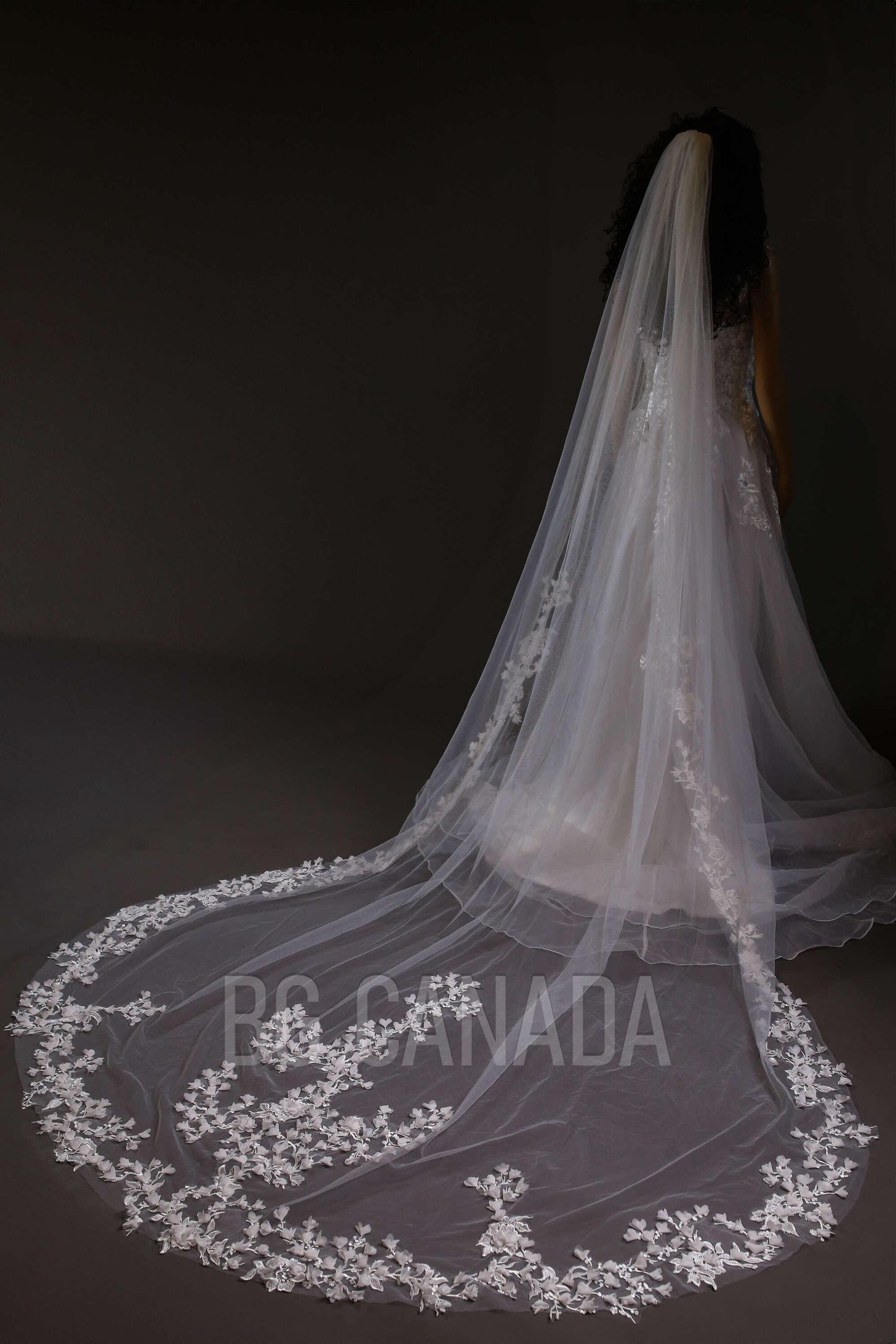 Vine veil scalloped veil mermaid veil cathedral floral wedding veil tulle vine border veil bridal illusion veil with lace border