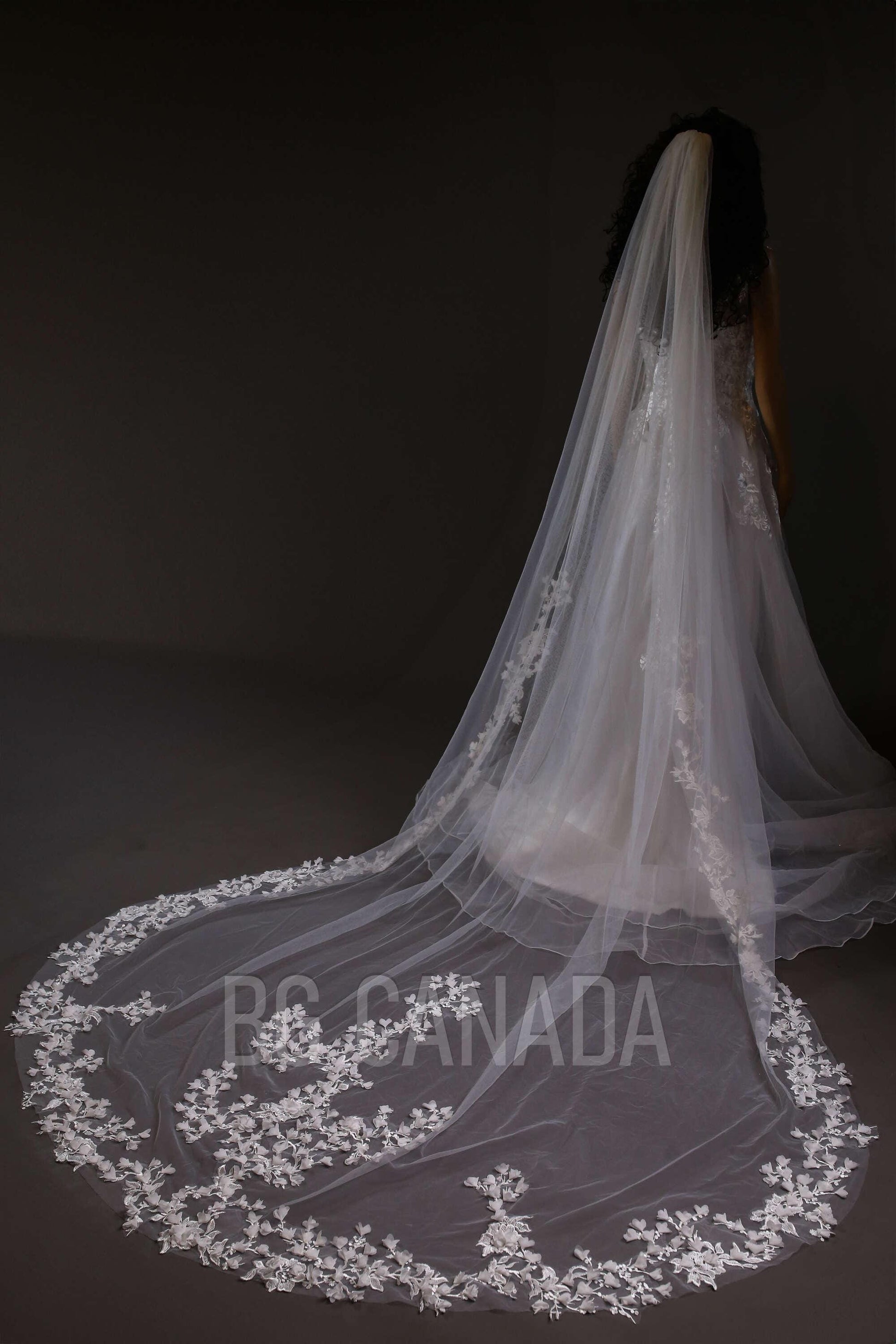 Vine veil scalloped veil mermaid veil cathedral floral wedding veil tulle vine border veil bridal illusion veil with lace border