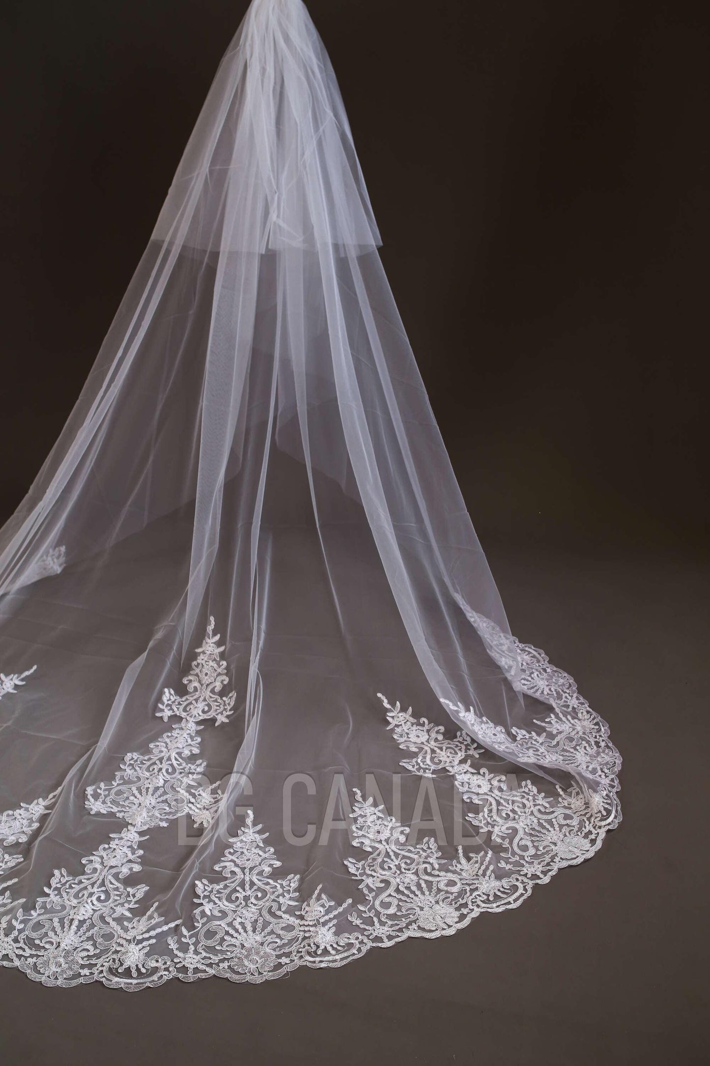 Lace Trim Cathedral Wedding Veil - Double Tier Bridal Veil