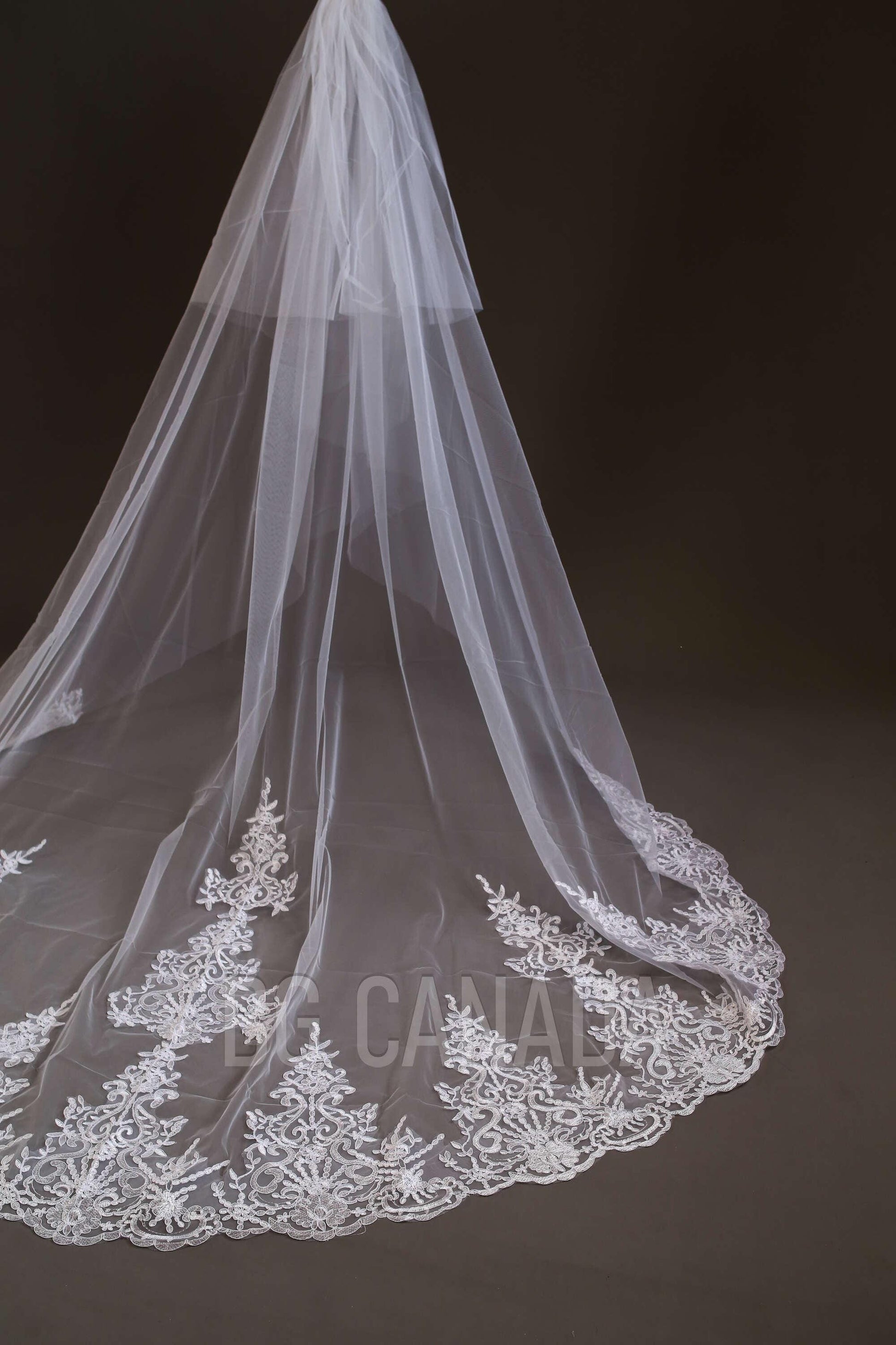 Lace Trim Cathedral Wedding Veil - Double Tier Bridal Veil