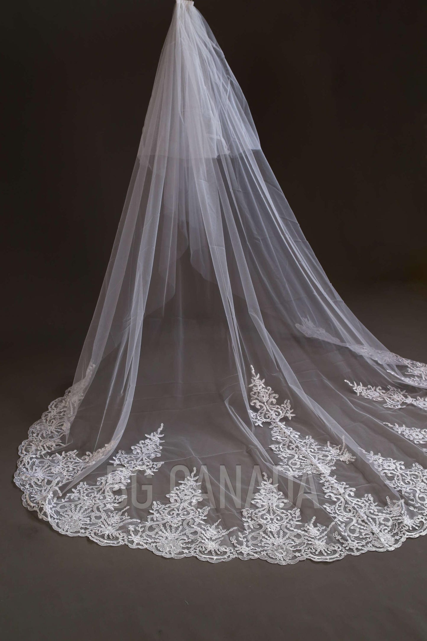 Lace Trim Cathedral Wedding Veil - Double Tier Bridal Veil
