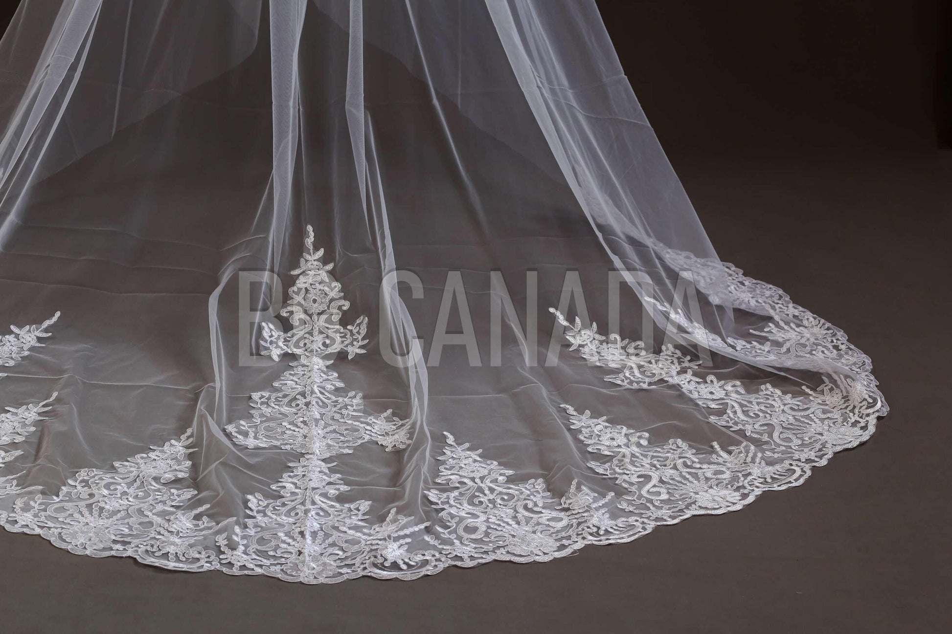 Lace Trim Cathedral Wedding Veil - Double Tier Bridal Veil