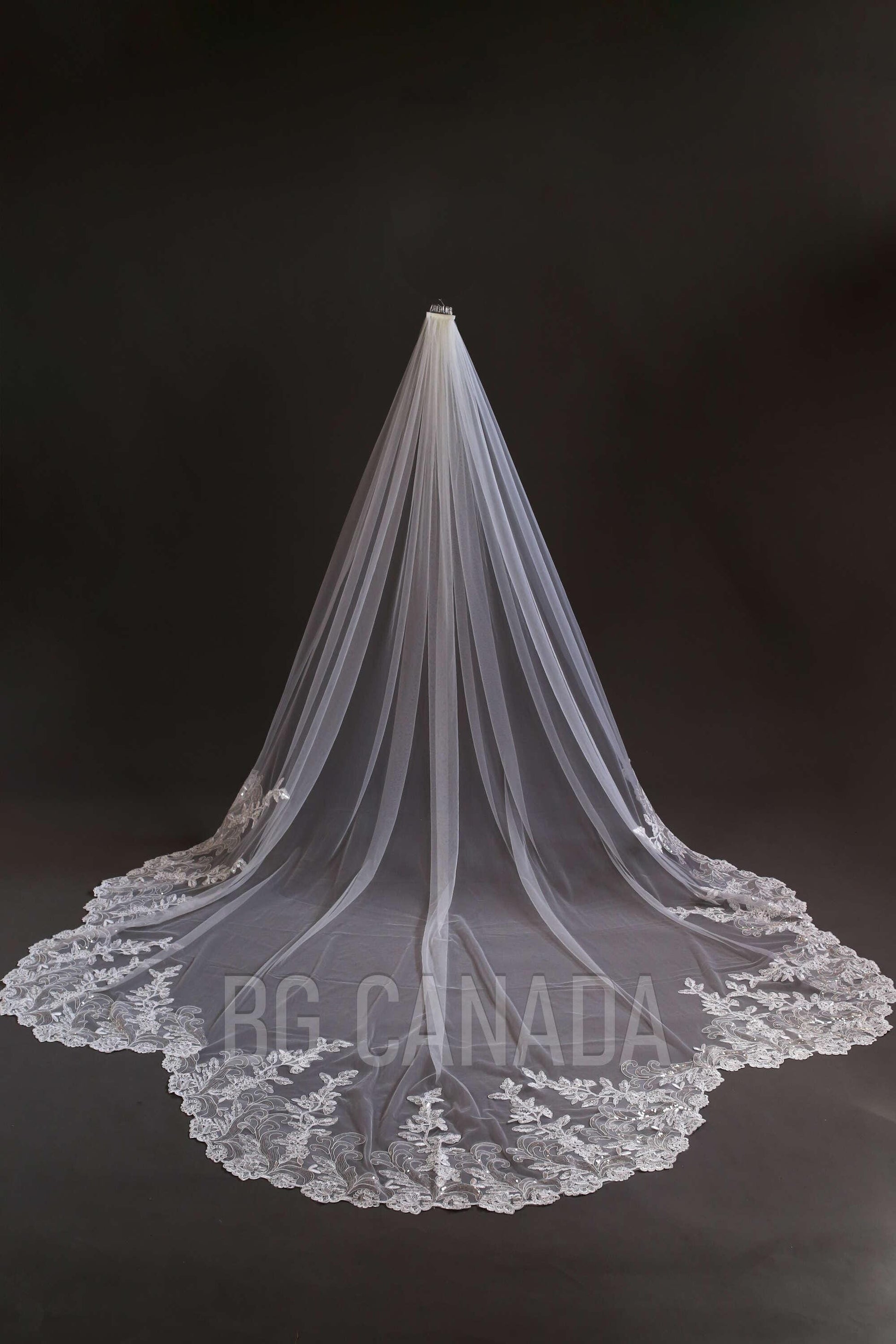 Sparkly lace Wedding Veil Scalloped Bridal Veil with Sequins unique lace edged veil