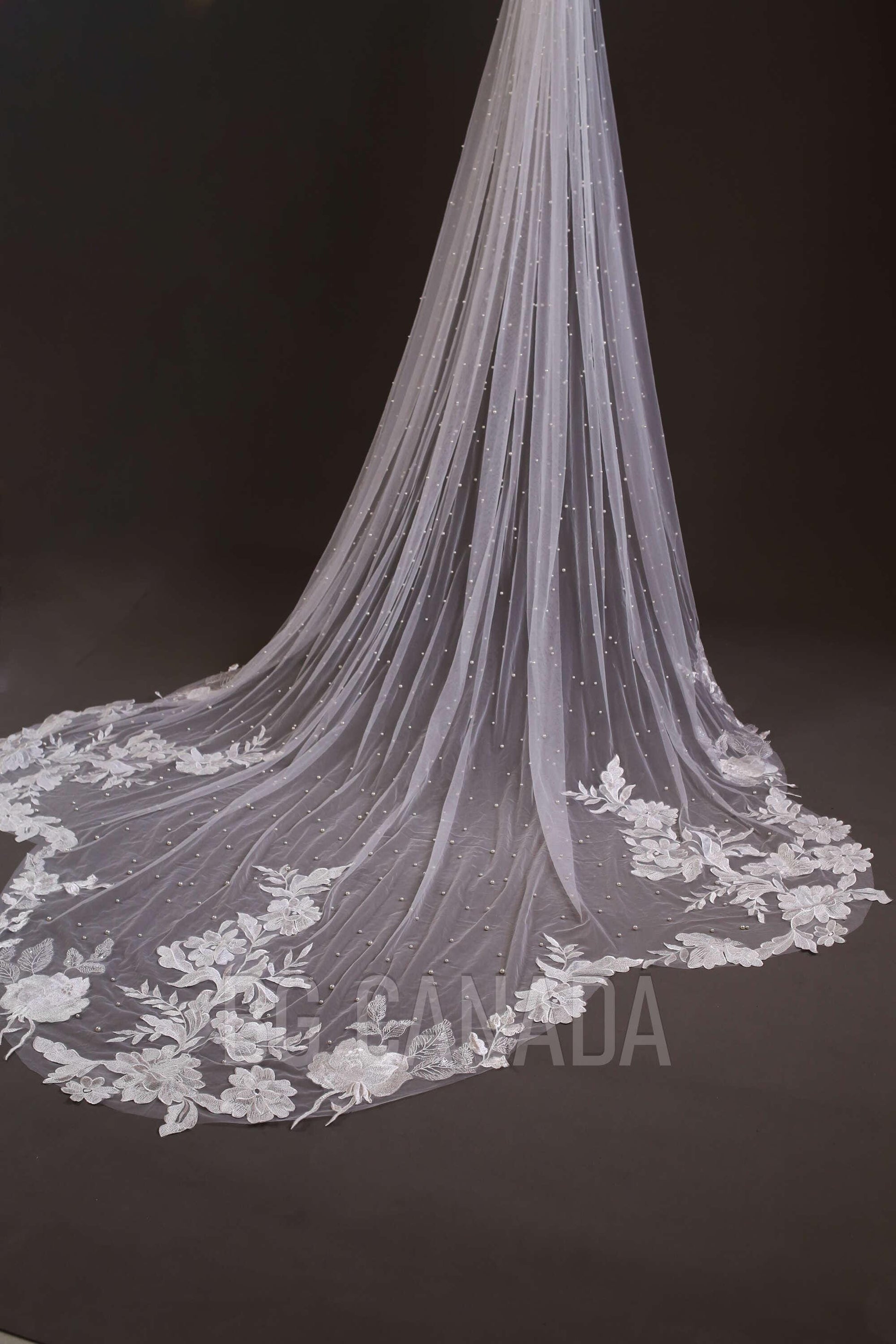 Ivory Lace Wedding Veil: Pearl Scalloped Cathedral Veil