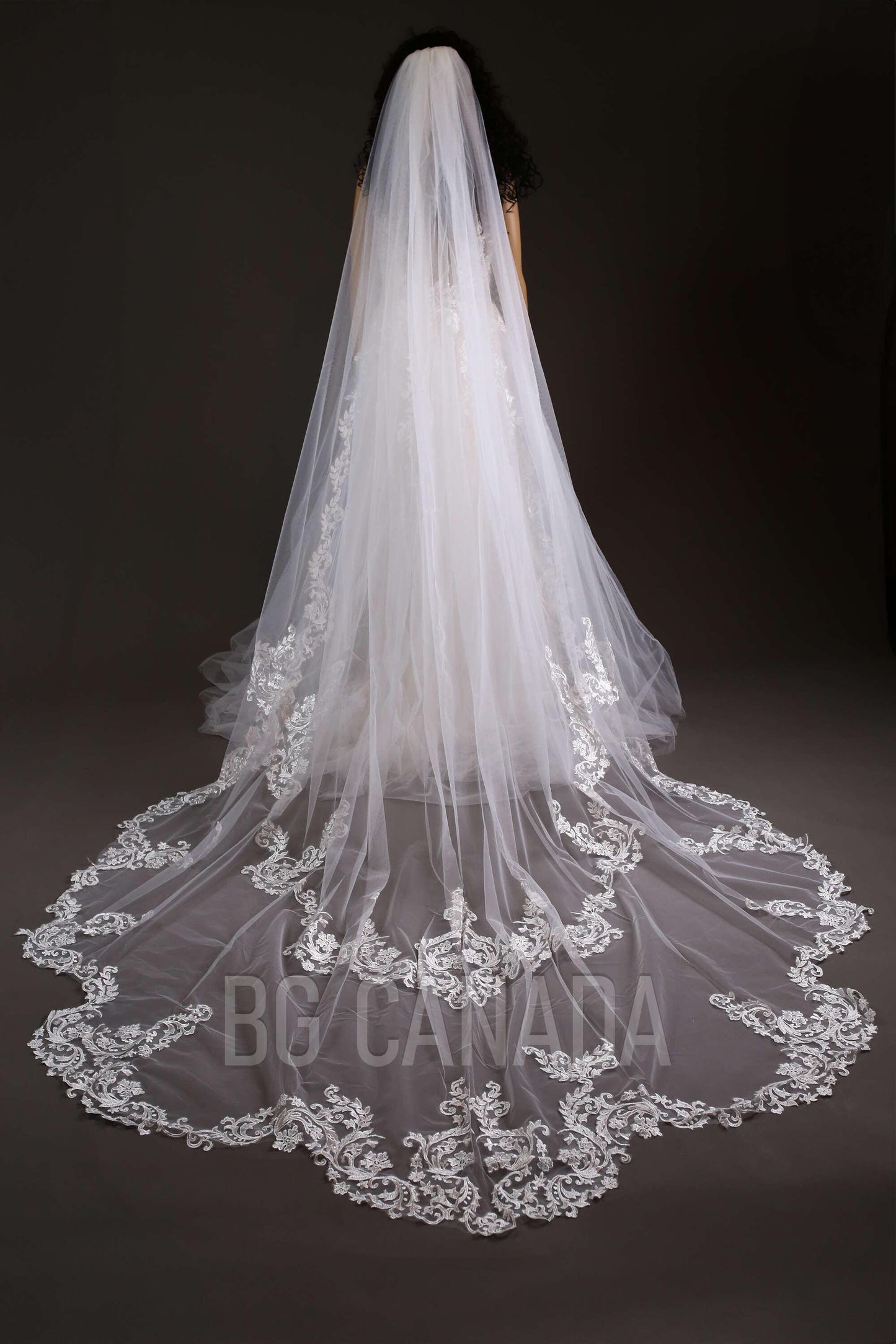 Cathedral veil wedding veil statement wedding veil luxury wedding veil single layer Cathedral length veil