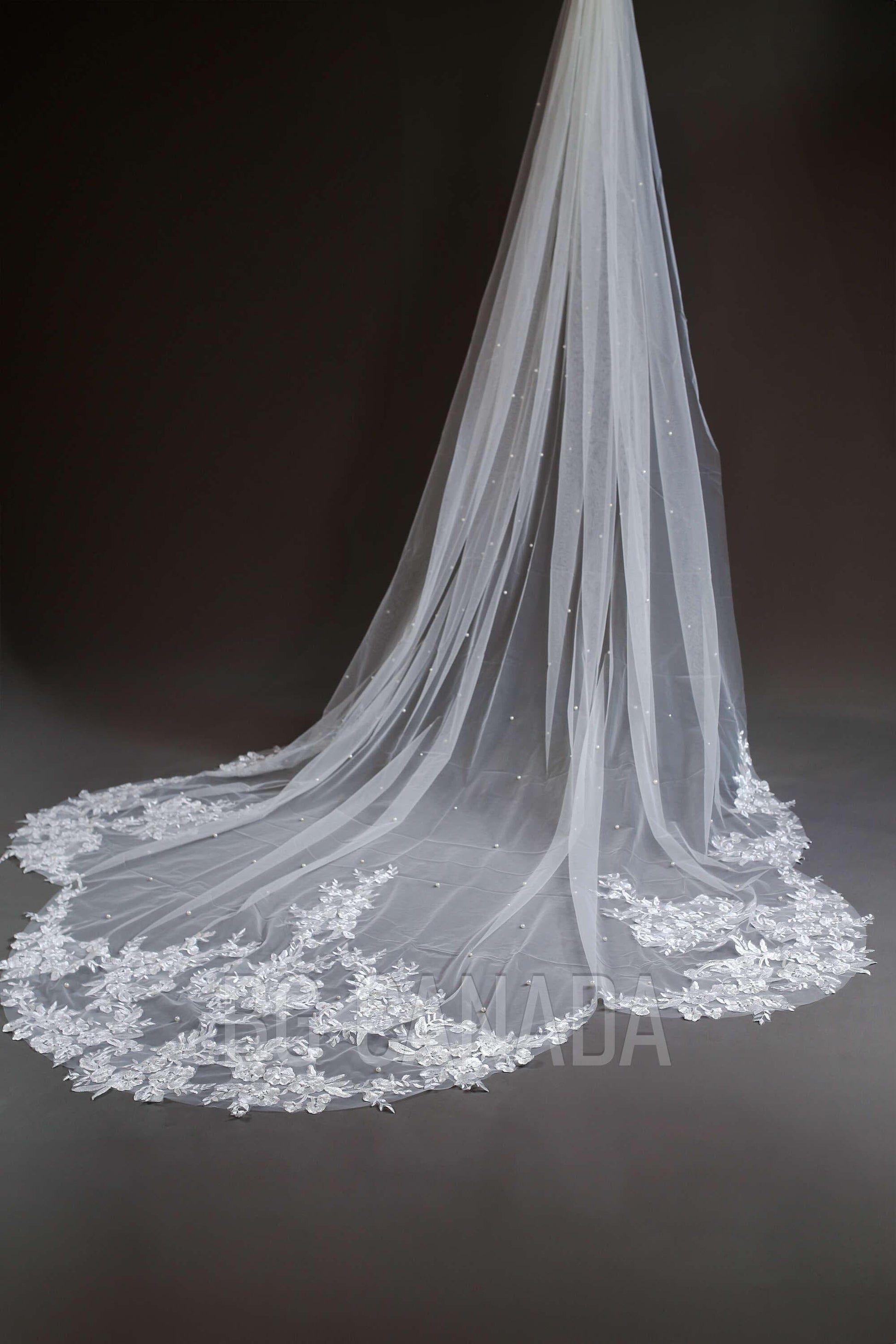 Pearl veil scalloped pearl veil pearl wedding veil with pearls long floral lace veil cathedral veil Bridal Veil white veil