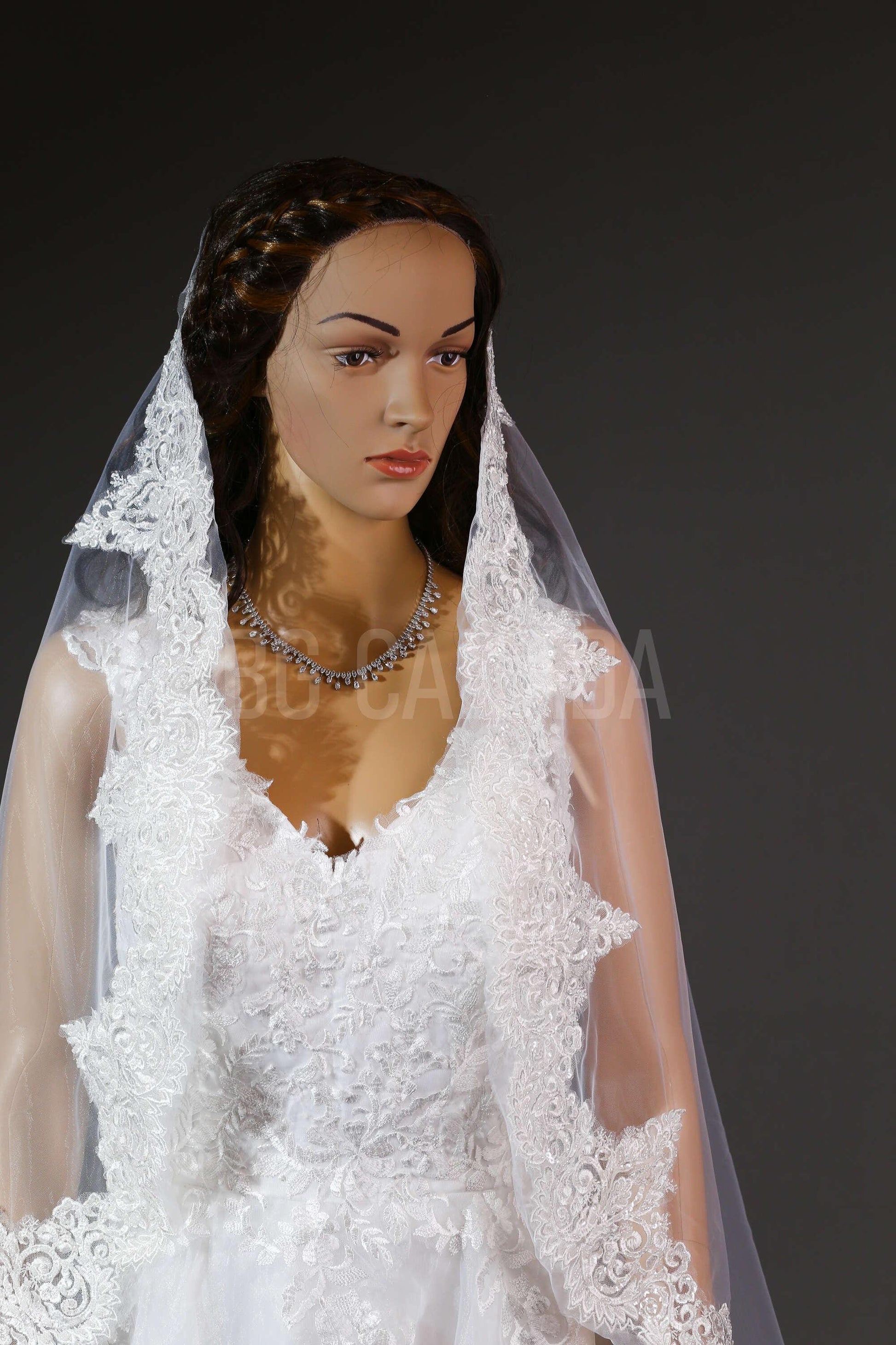 Beaded edged Bridal Veil Mantilla Lace Wedding Veil Lace trim veil fingertip Lace veil 1 tier veil with comb beade Lace Veil