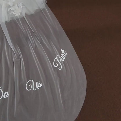 Custom embroidery veil custom writing veil Plain veil simple bridal veil plain wedding veil cathedral bridal veil ivory flowy tulle veil